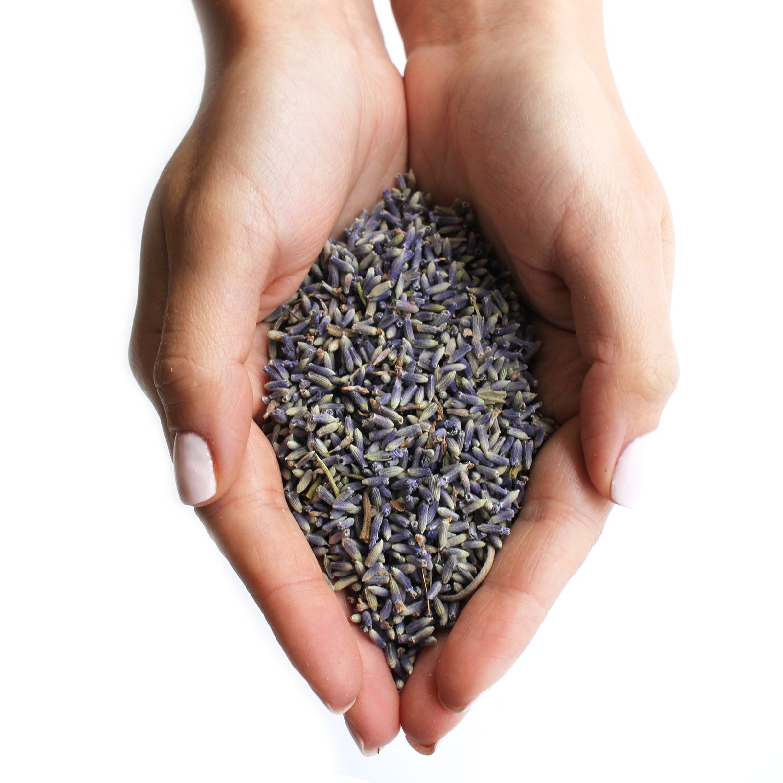 Flores de lavanda (1KG) - Imagen 3