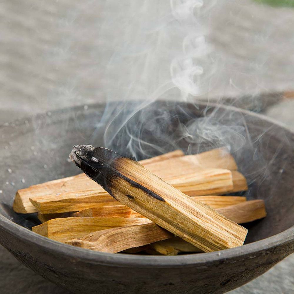 100g Palos de árbol verde de palo santo 10-15 Palitos - Imagen 2
