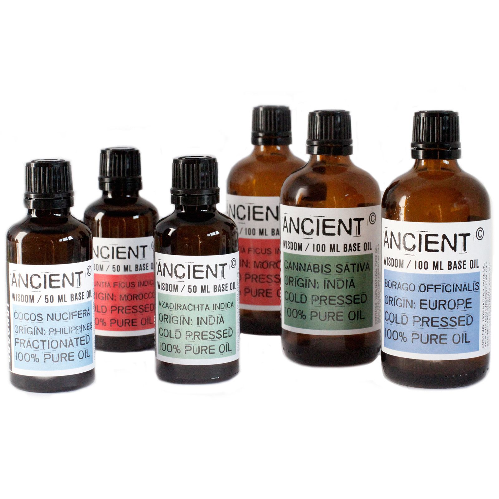 Aceite Base 50ml - Avellana - Imagen 3