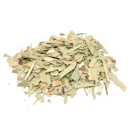 Eucalipto (hoja cortada) 1Kg - Imagen 2