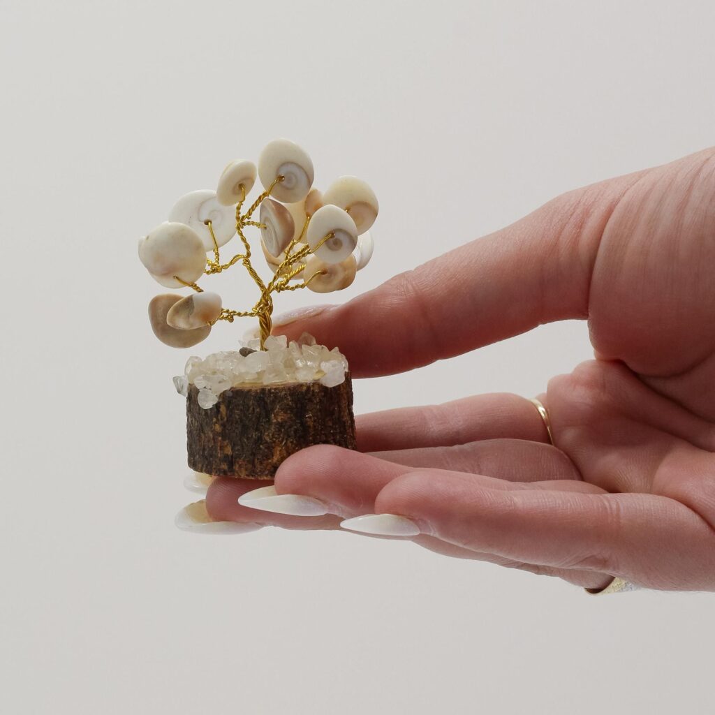 Pequeño Gomati Chakra Árboles de Piedra Círculo con Rudraksha – (15 piedras)