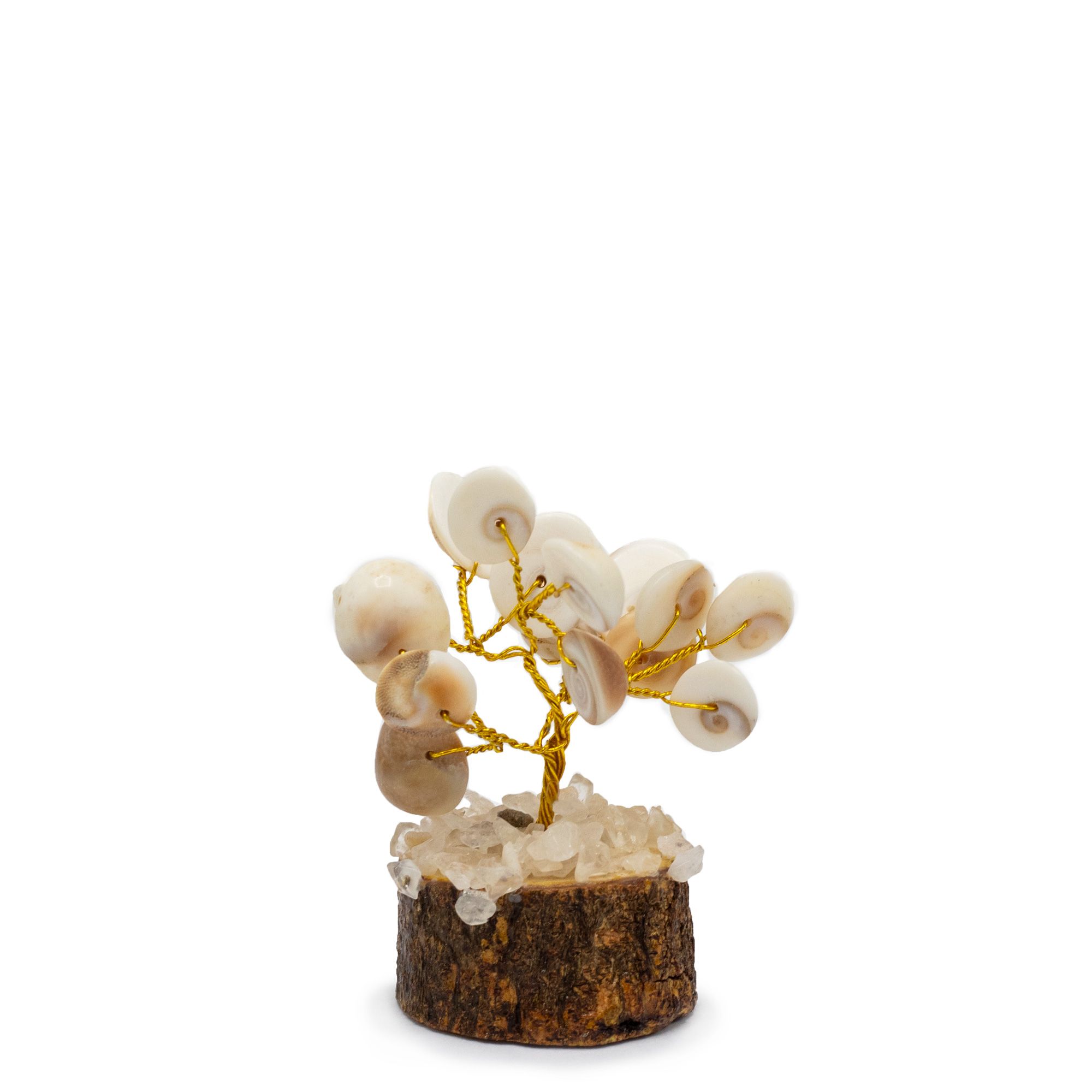 Pequeño Gomati Chakra Árboles de Piedra Círculo con Rudraksha - (15 piedras) - Imagen 4