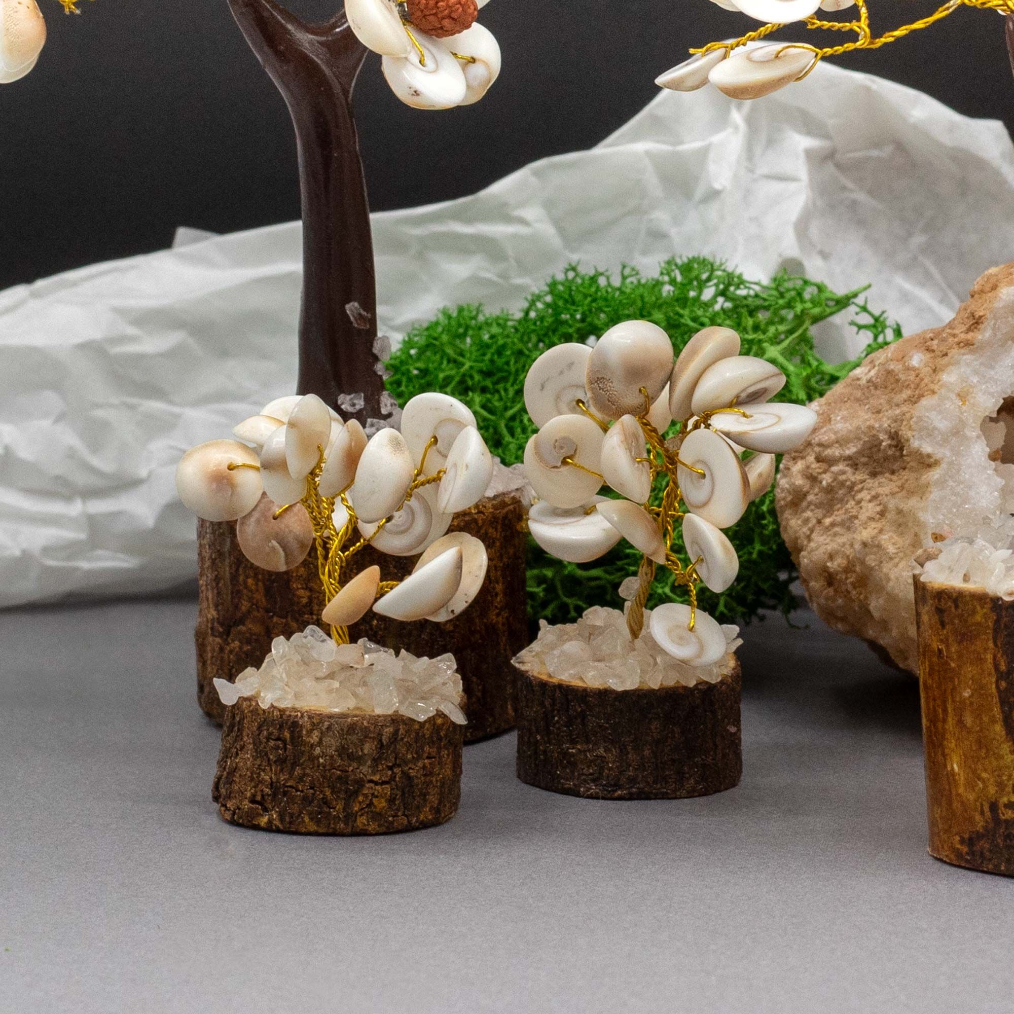 Pequeño Gomati Chakra Árboles de Piedra Círculo con Rudraksha - (15 piedras) - Imagen 2