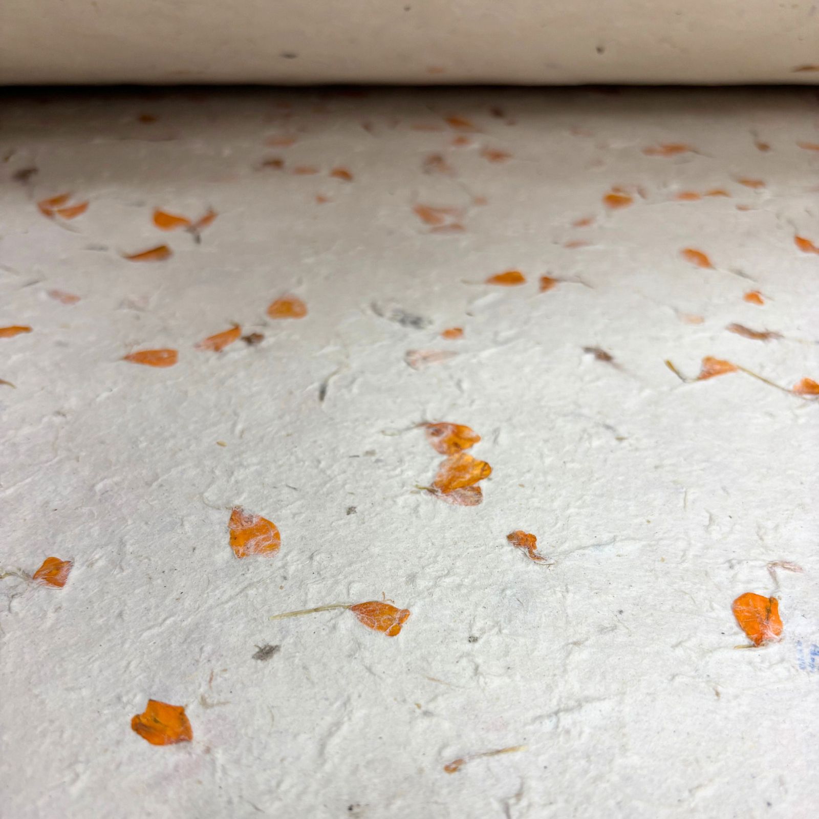 Lokta Craft / Papel de regalo (51x76cm) - Marigold - Imagen 6