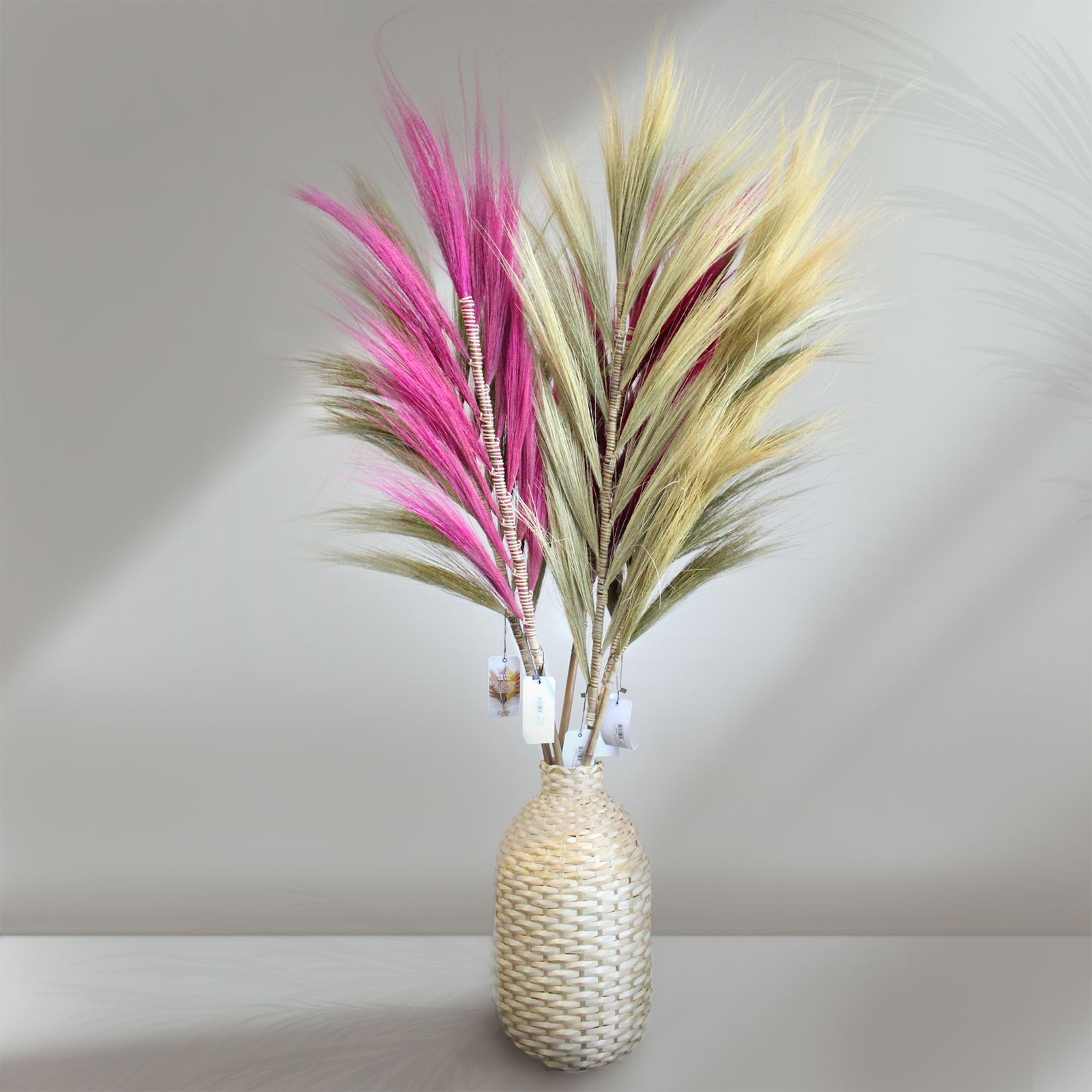 Palmera Rubia de Rayung - 1.6m - Imagen 3