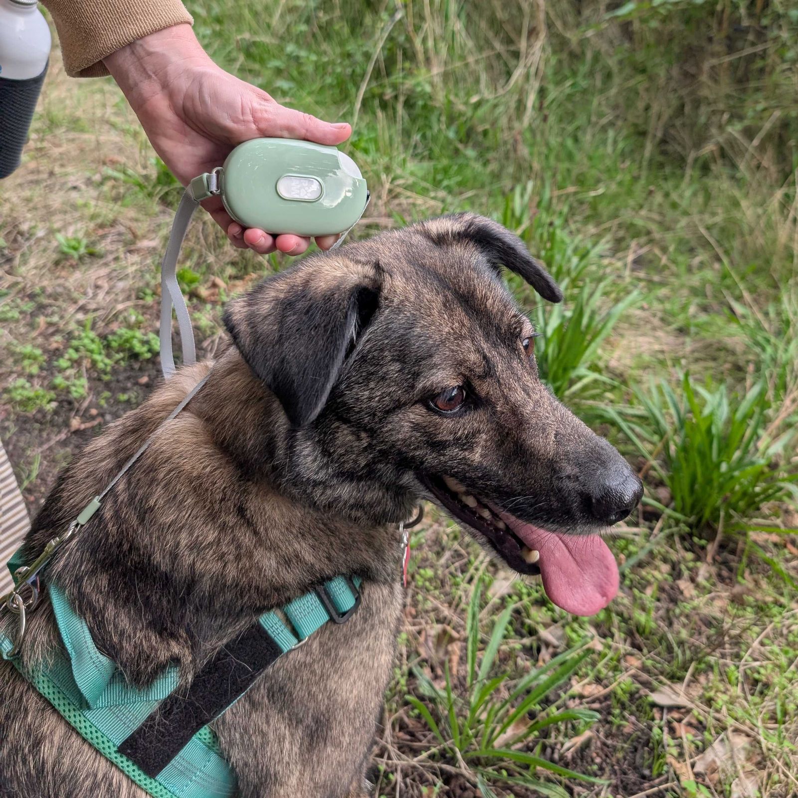 Correa para mascota Paw - Pocket Pod - Verde - 1.5 m - Imagen 4