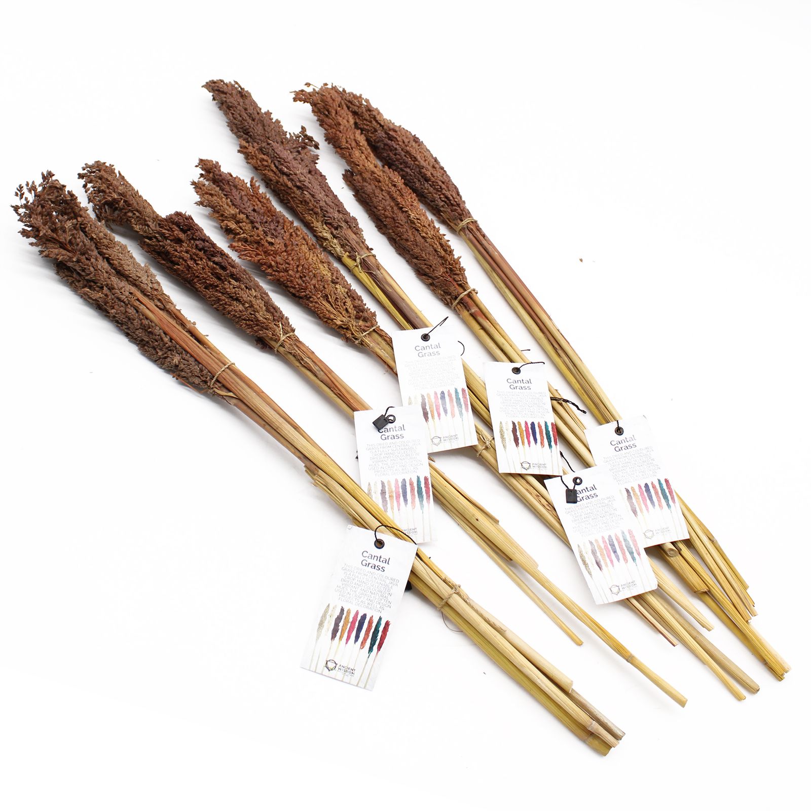 Manojo de Hierba Cantal - Chocolate - Imagen 5