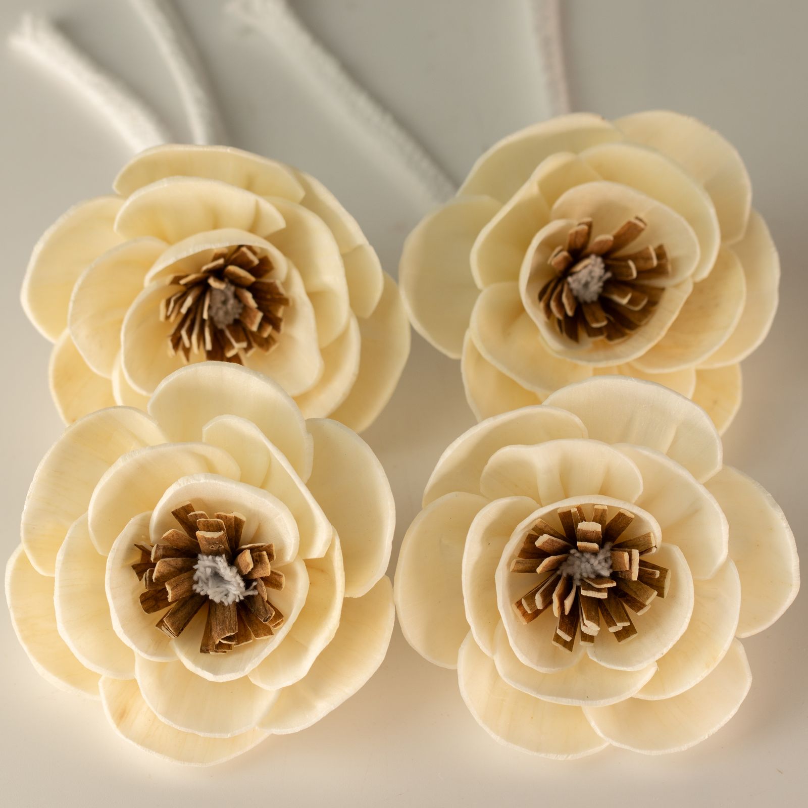 Flores Naturales para Difusor - Amapola Pequeña en Cuerda - Imagen 2