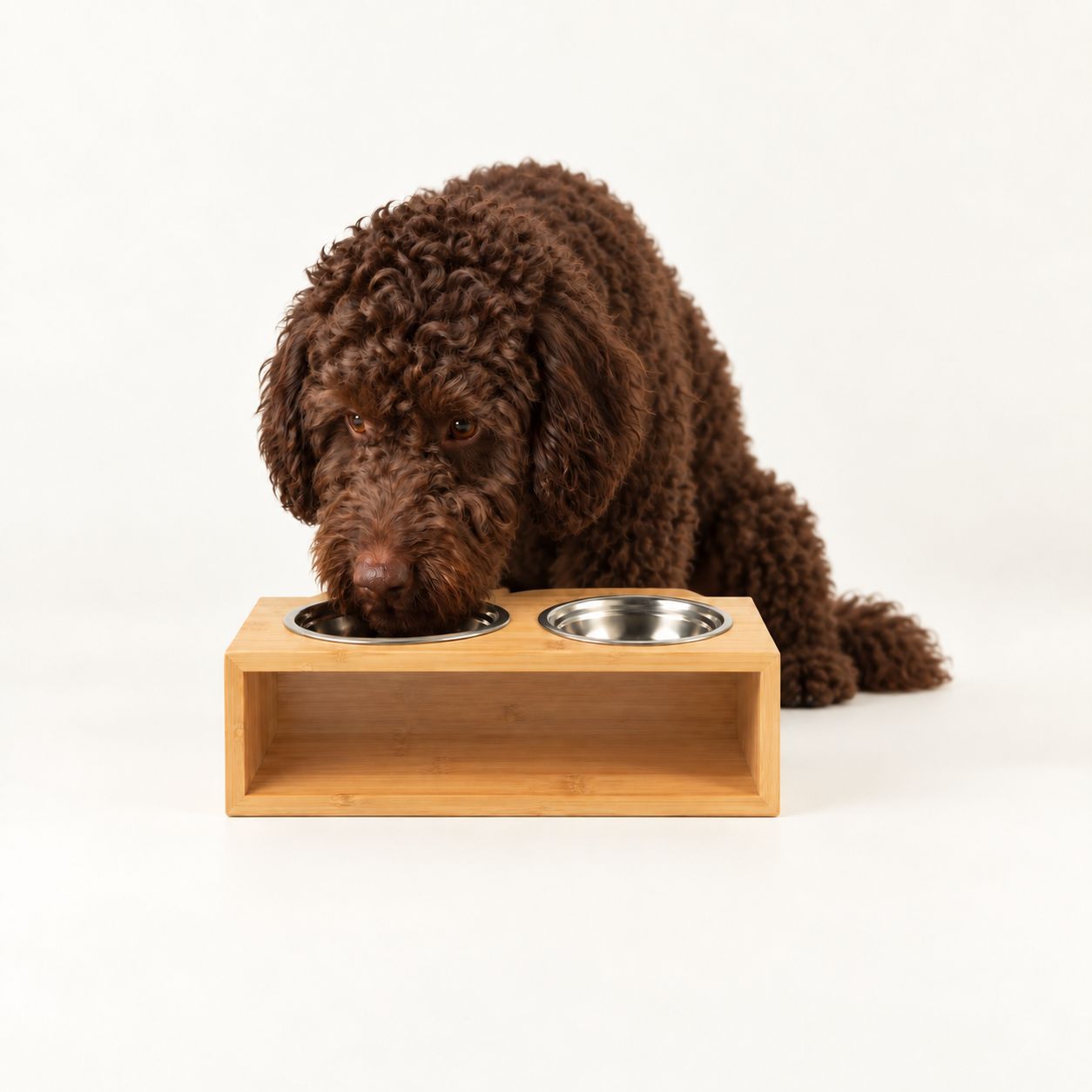 PAW Cuencos para comida - Grande doble acero inoxidable (201) en soporte de madera - 2x13 cm - Imagen 3