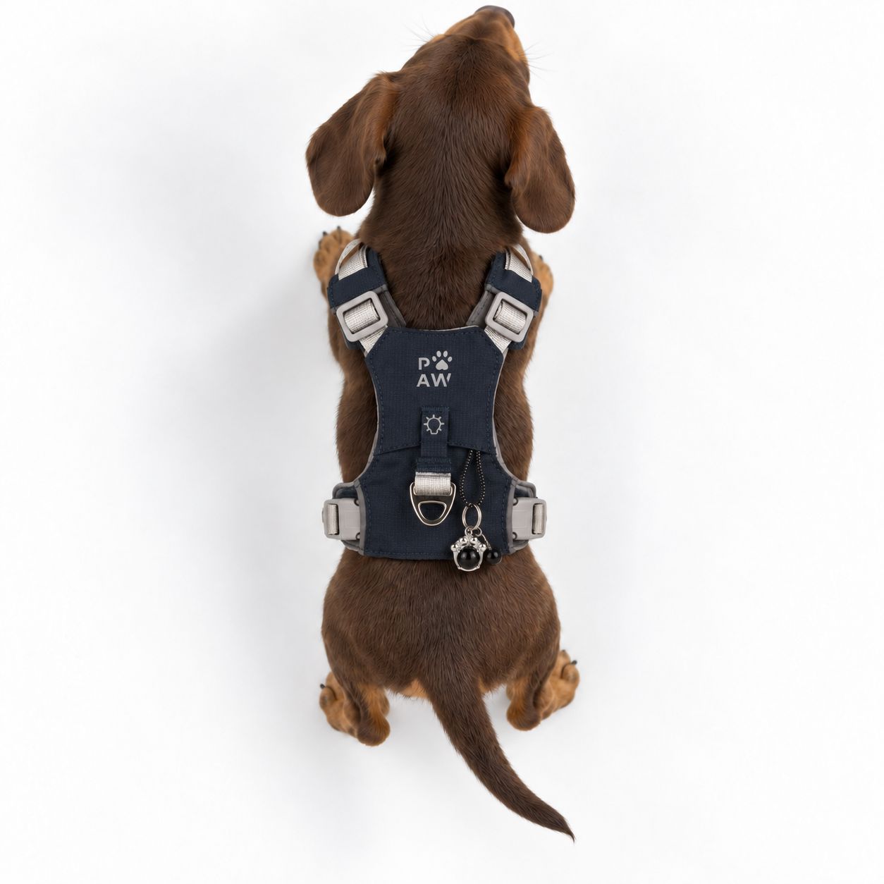 PAW - XS (2-4 kg) Arnés de paso para perros Guardian con malla reflectante - Rock Grey - Black Obsidian Charm - Imagen 9