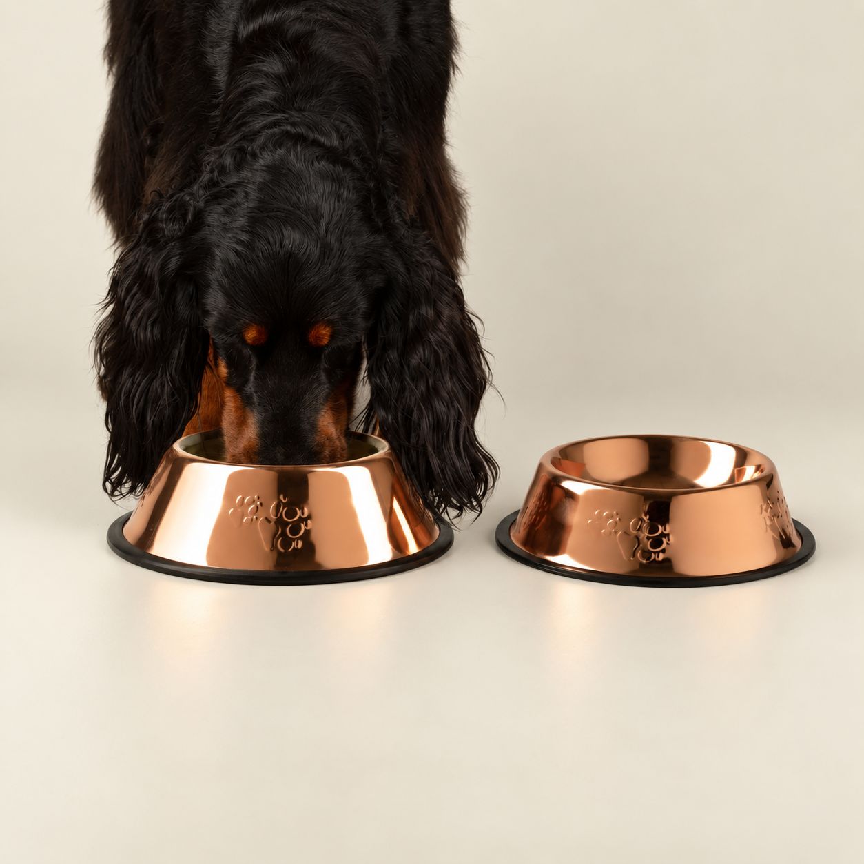 Tazones para comida PAW - Estilo único en cobre - 18 cm - Acero inoxidable (304) - Imagen 3