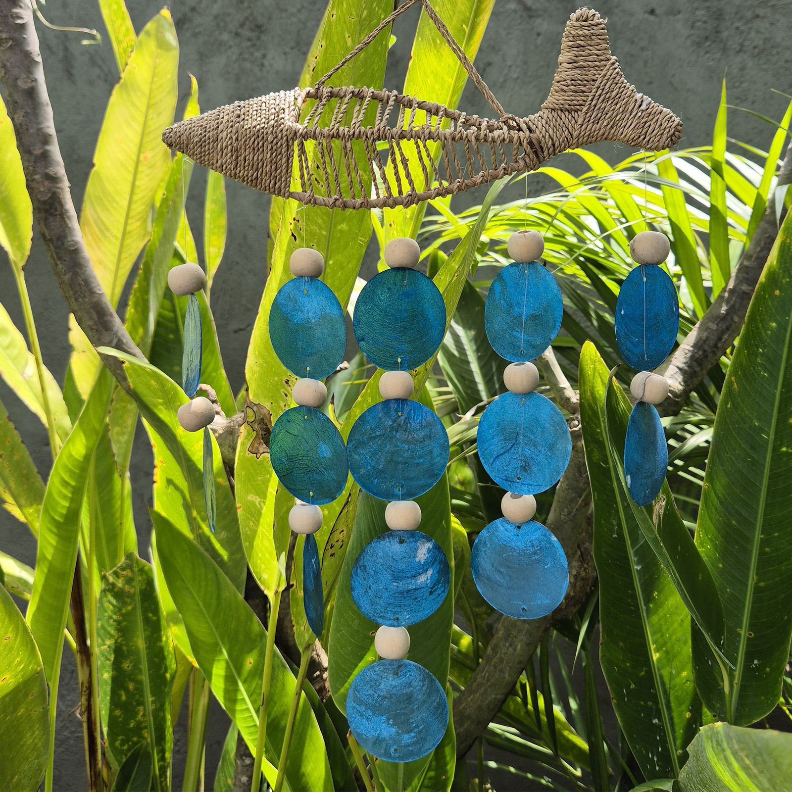 Pez en Cuerda y Gota Azul - Imagen 4