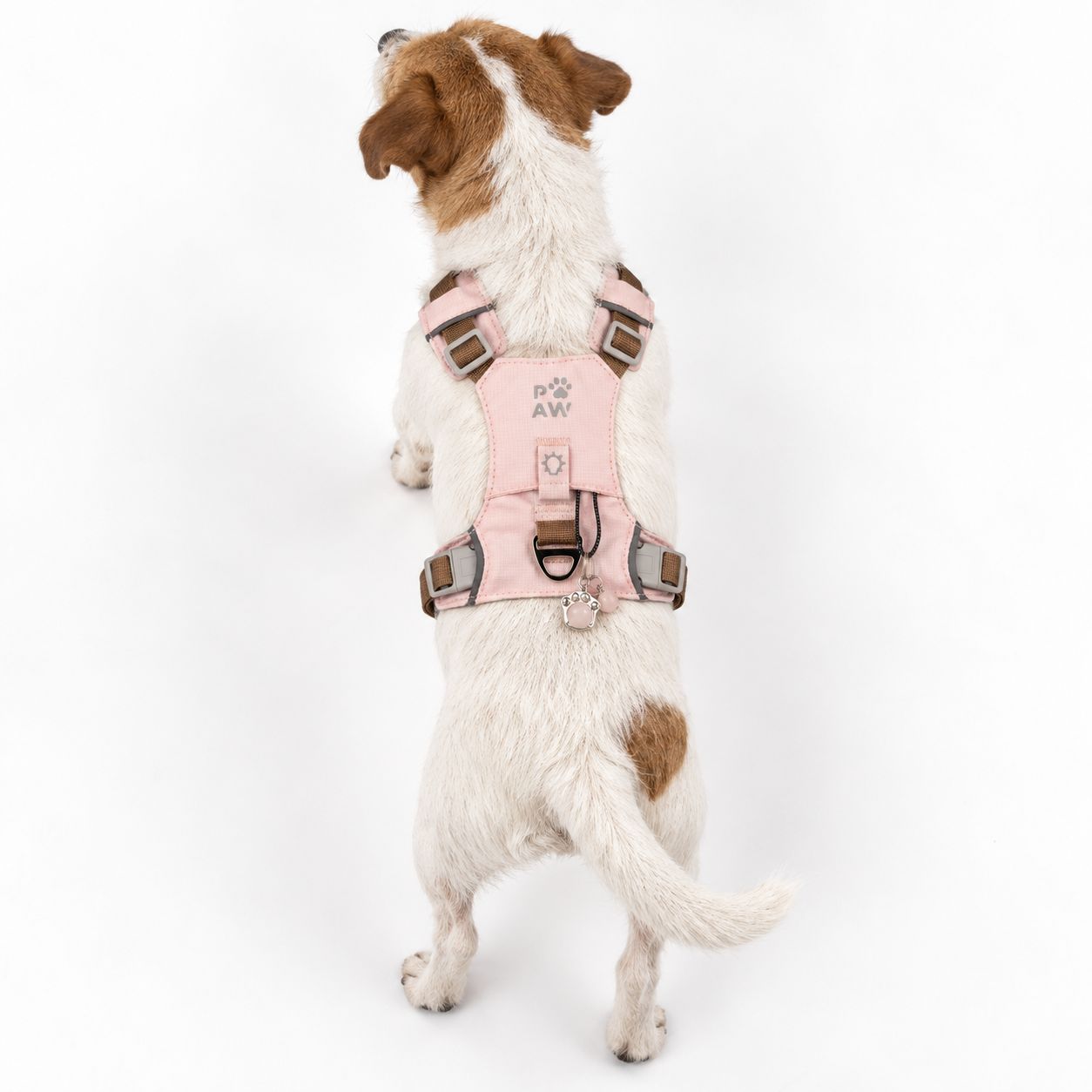 PAW - S (4-8 kg) Arnés de paso para perros Guardian con malla reflectante - Rosa suave - Colgante de cuarzo rosa - Imagen 11