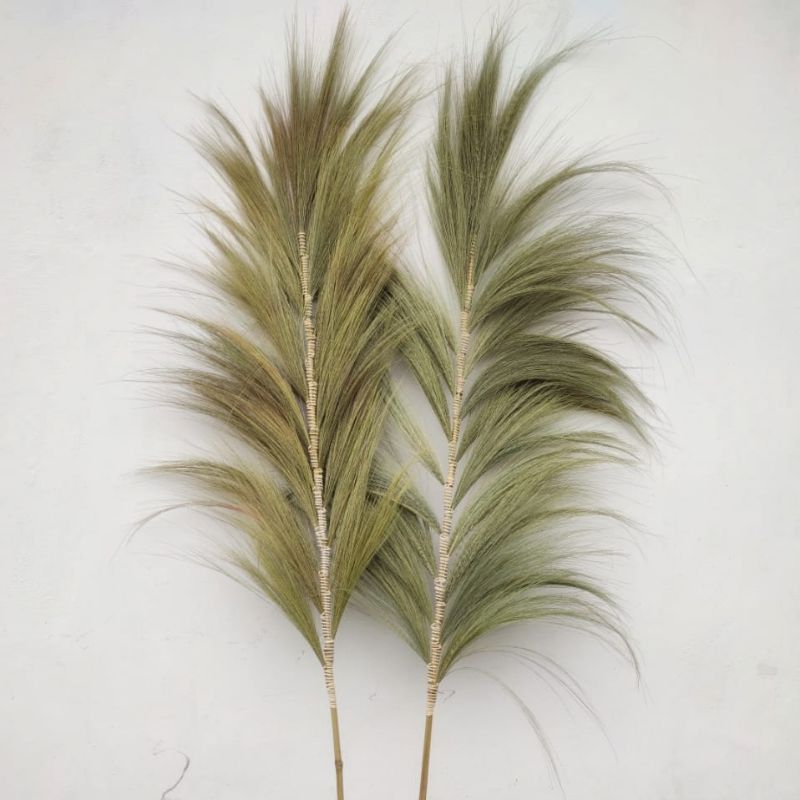 Palmera Natural de Rayung - 2m - Imagen 4
