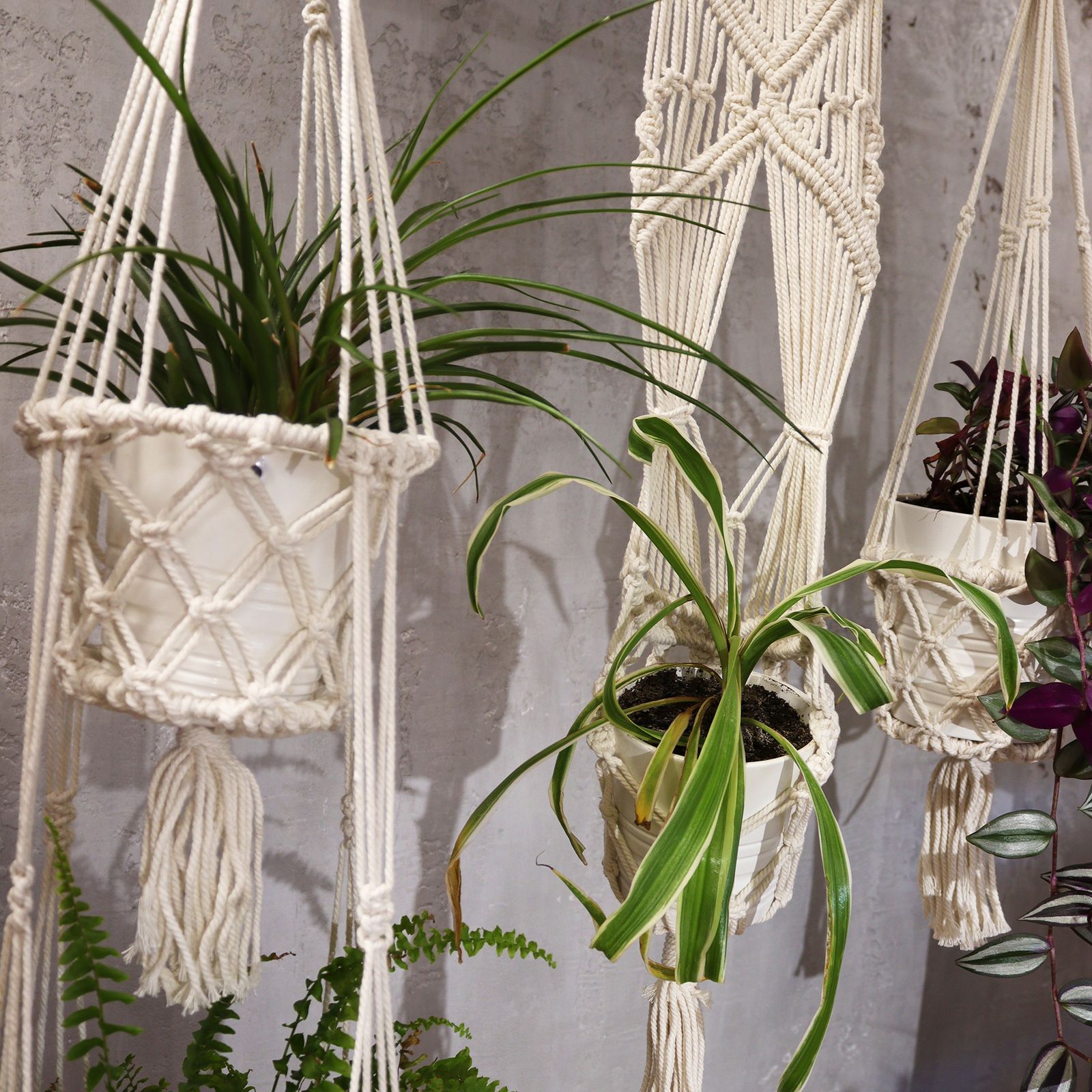 Macetero de Macrame - Doble - Imagen 8