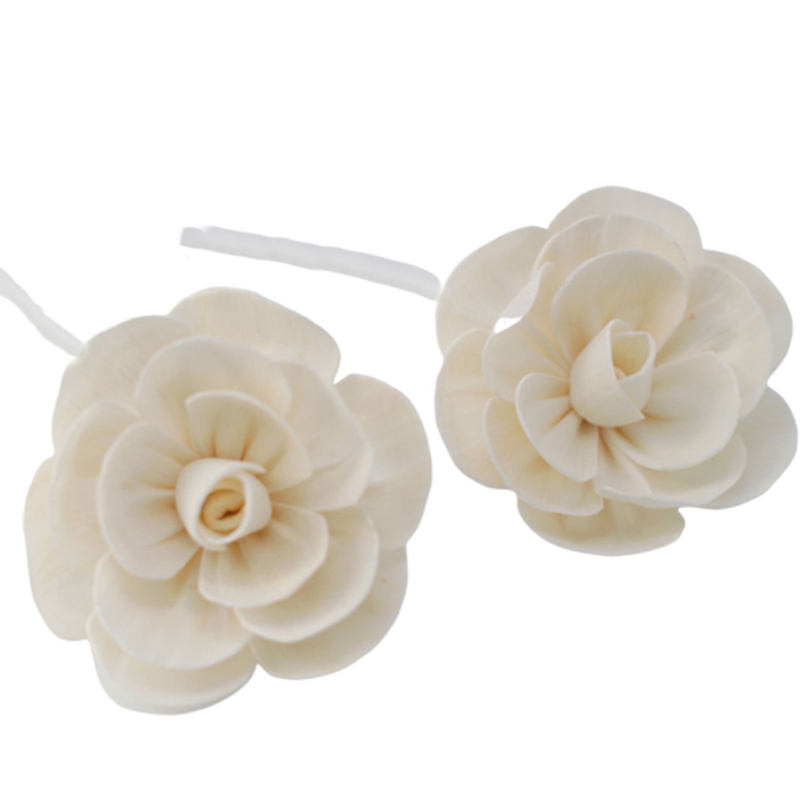 Flores Naturales para Difusor - Loto Grande en Cuerda - Imagen 5