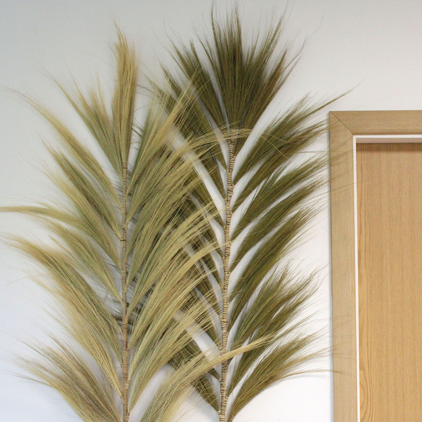 Palmera Natural de Rayung - 2m - Imagen 3