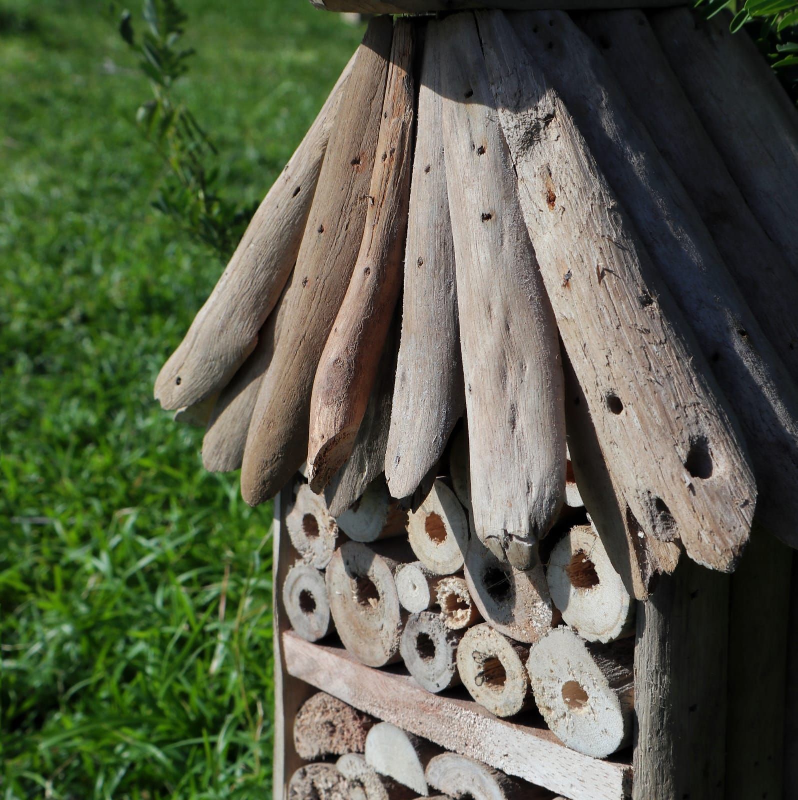 Refugio de insectos y abejas Driftwood - Casa de dos pisos - Imagen 4