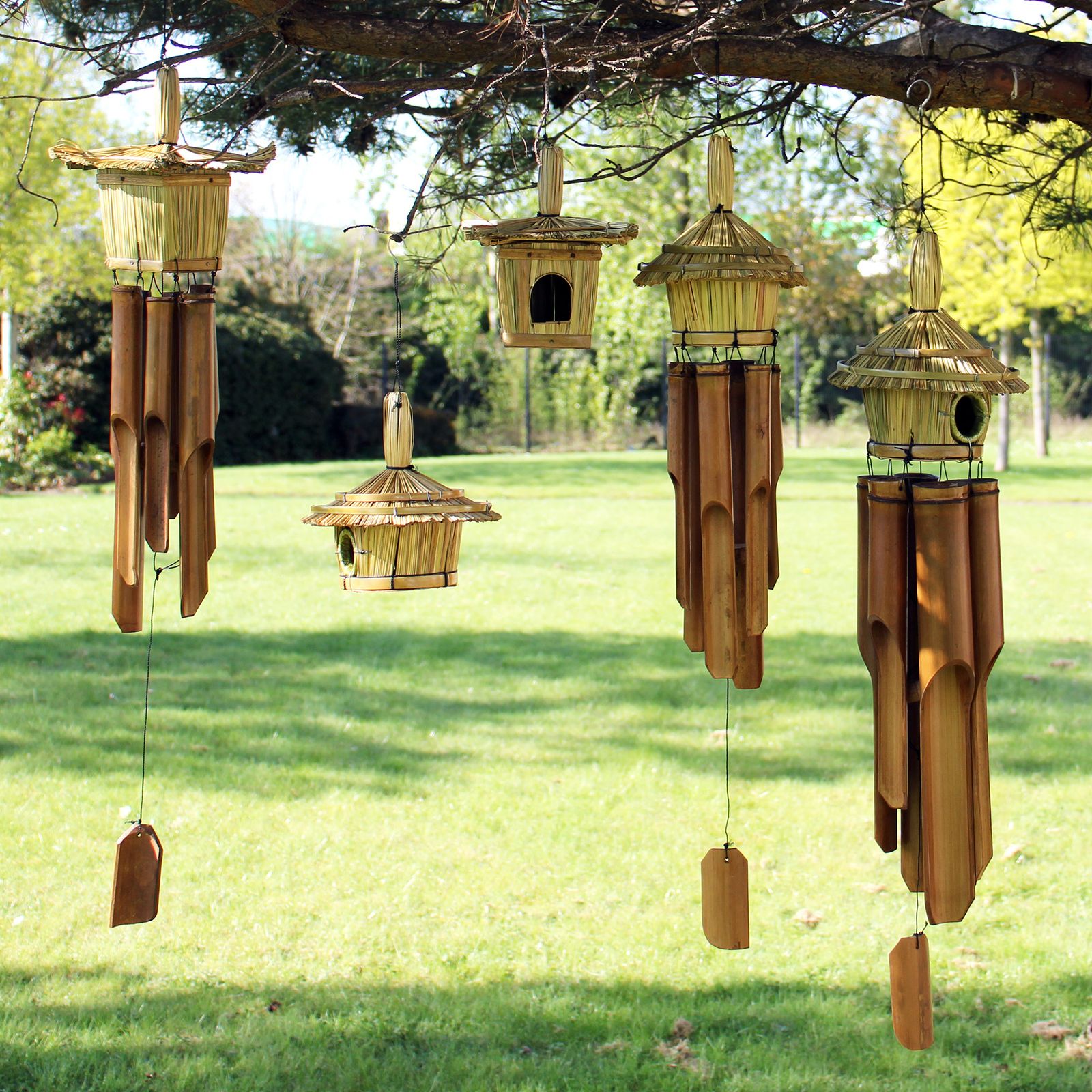 Caja Pequeña Cuadrada para Pájaros 18x13cm - Imagen 4