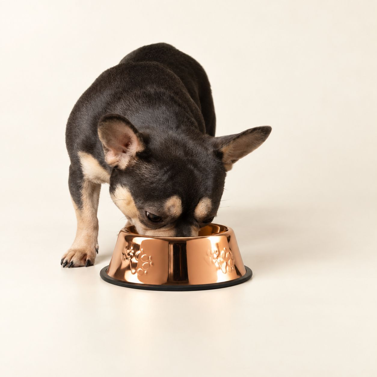 Tazones para comida PAW - Estilo único en cobre - 18 cm - Acero inoxidable (304) - Imagen 5