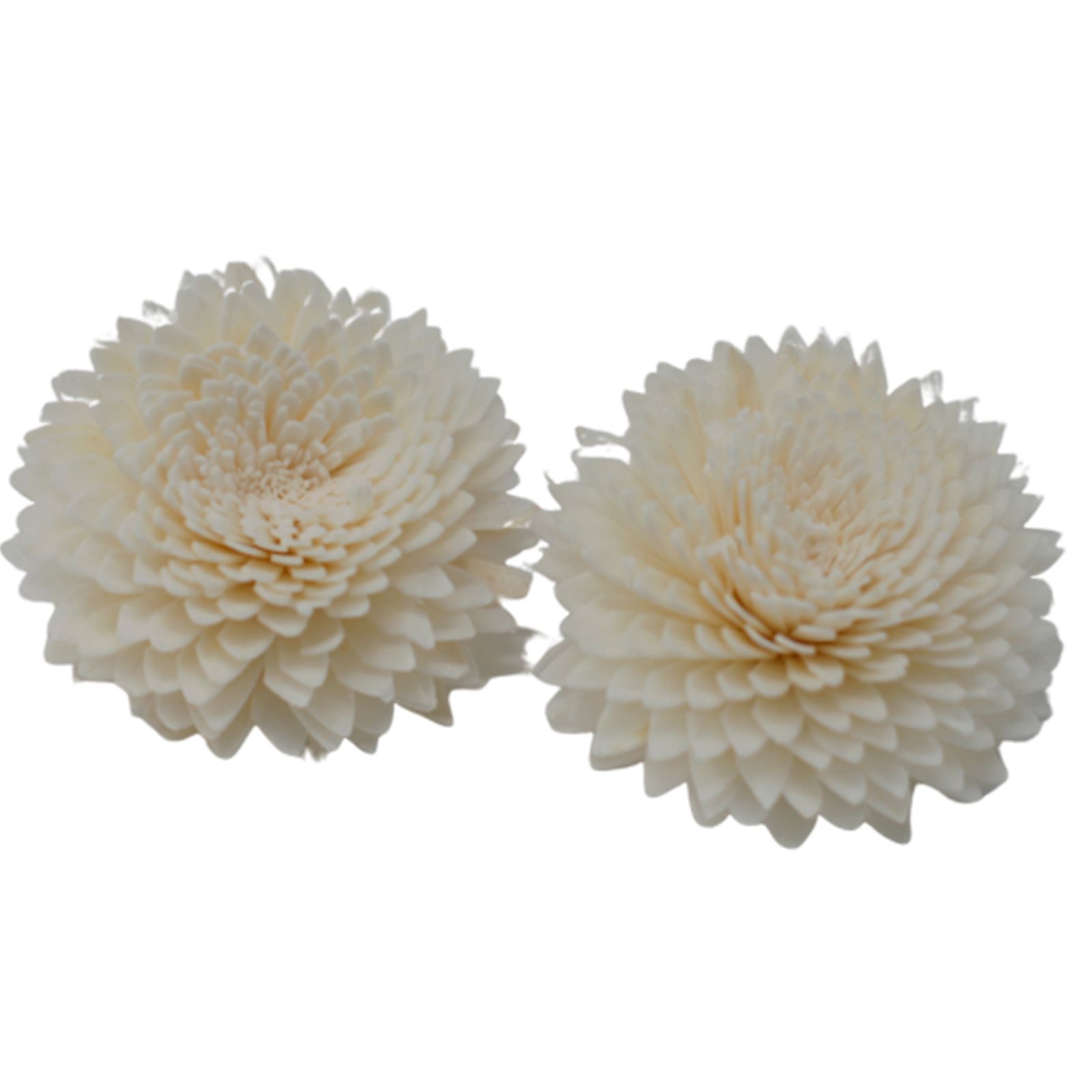 Difusor de Flores Naturales - Clavel Grande en Cuerda - Imagen 3