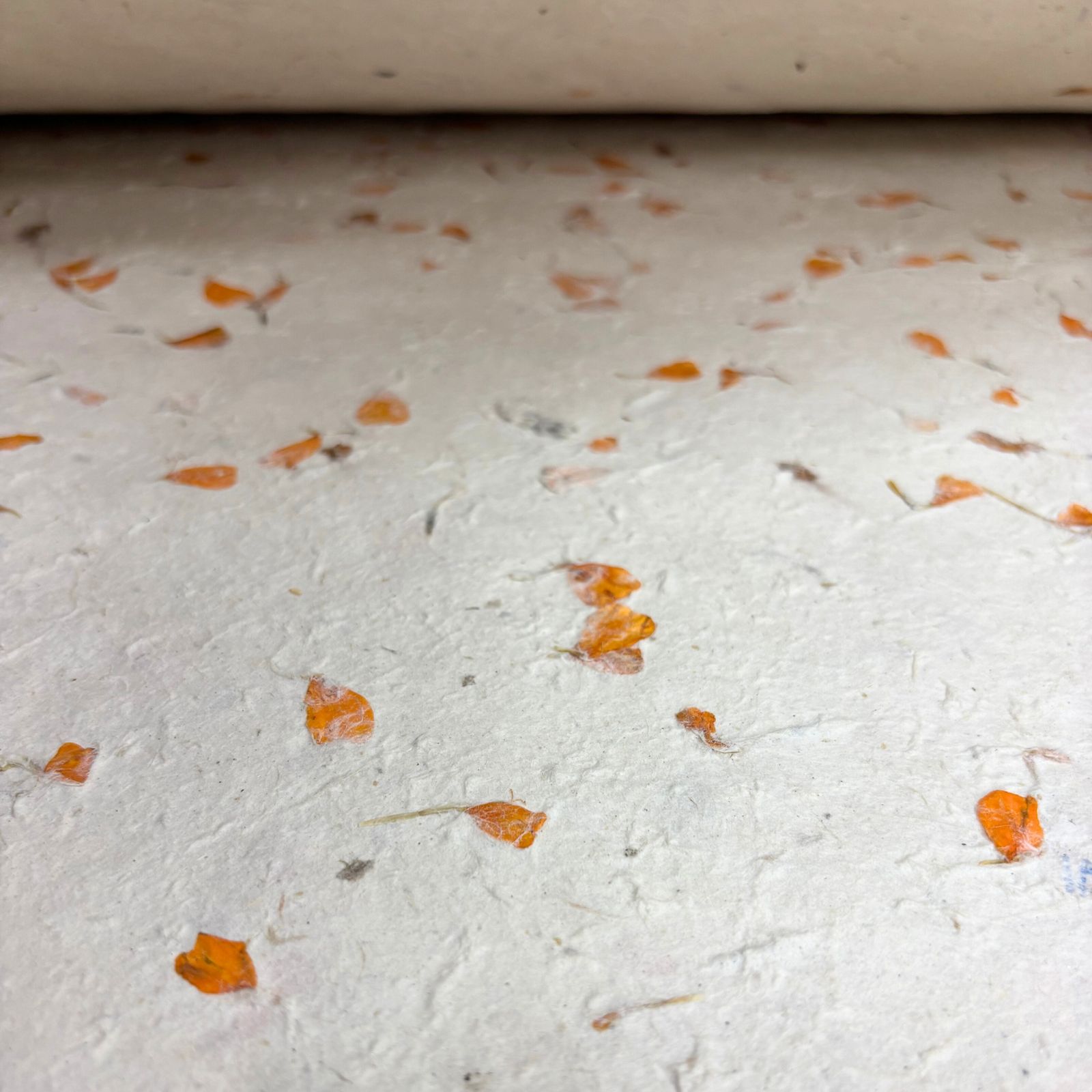 Lokta Craft / Papel de regalo (51x76cm) - Marigold - Imagen 3