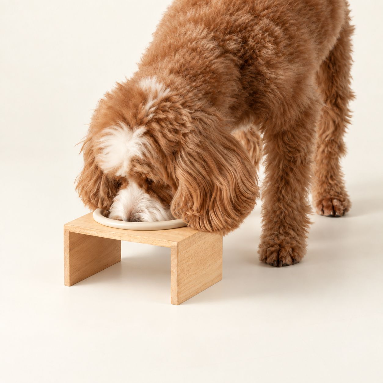 PAW Cuencos para comida - Grande cerámica individual en soporte de madera - 14 cm - Imagen 6