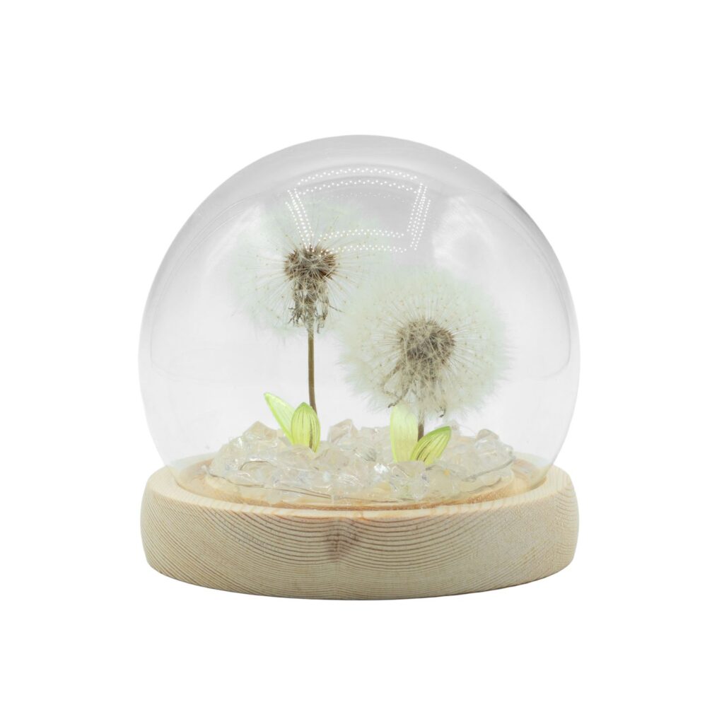 Domo de jardín Floral Glow - 2 dientes de león - LED USB
