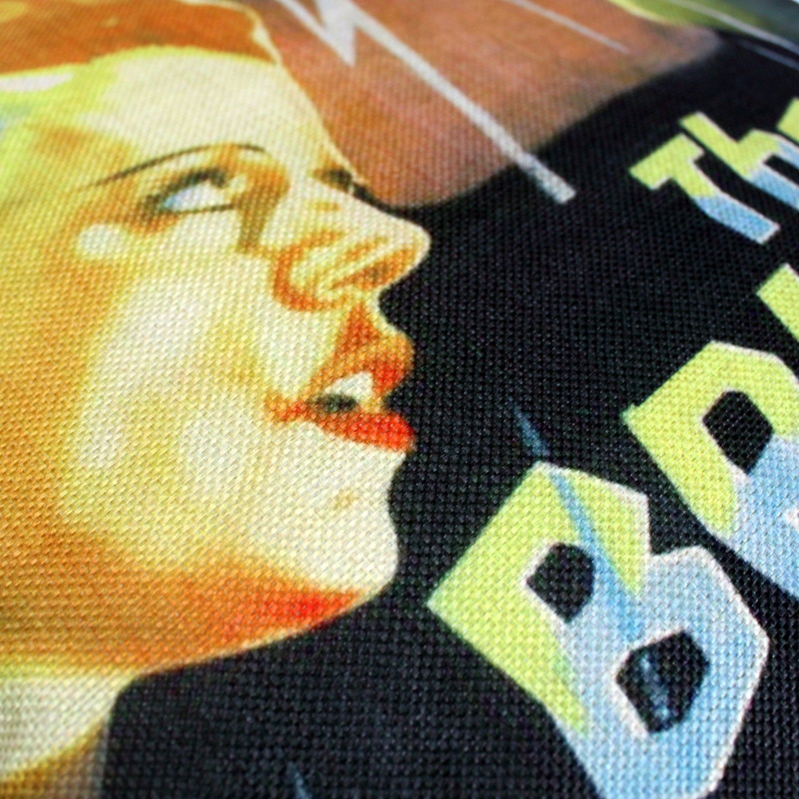 Funda de Cojín - The Bride of Frankenstein - Imagen 2