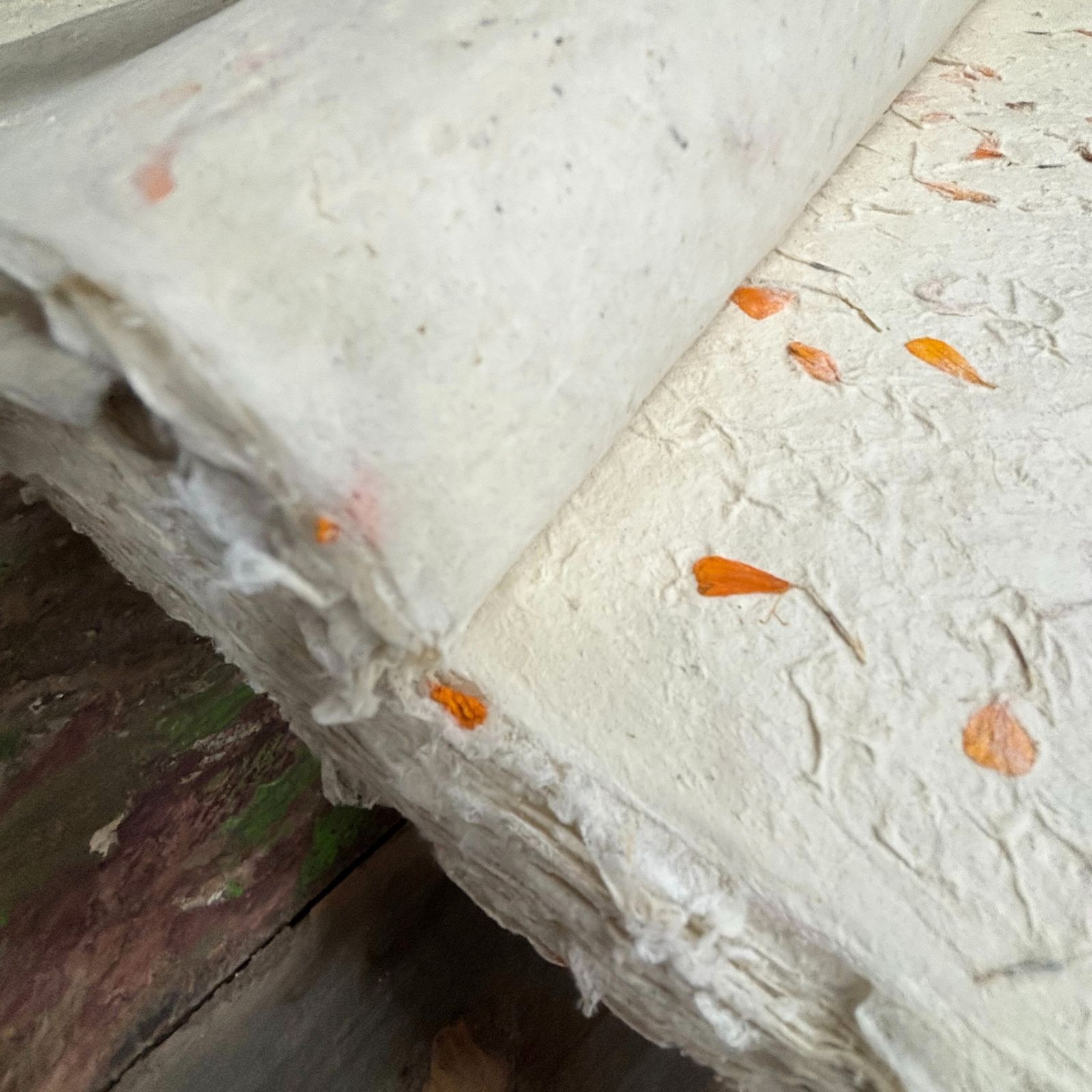 Lokta Craft / Papel de regalo (51x76cm) - Marigold - Imagen 7