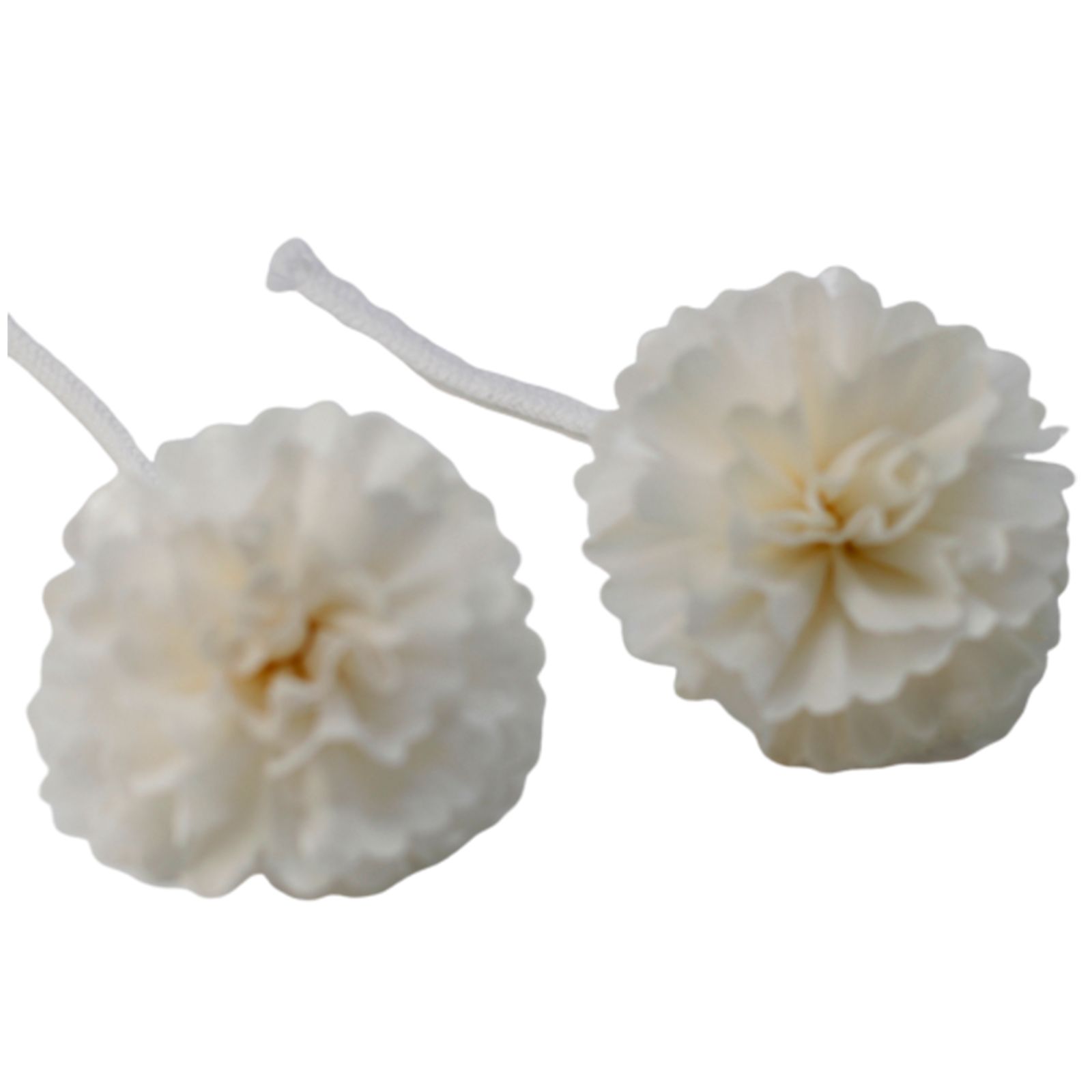 Flores Naturales para Difusor - Clavel Med en Cuerda - Imagen 4