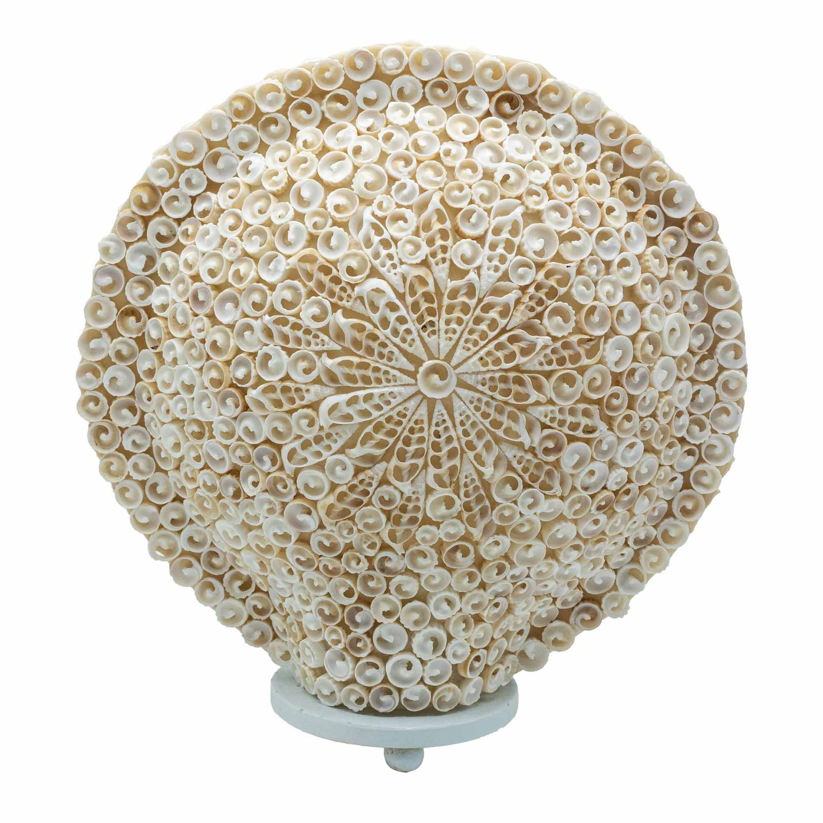 Lámpara Boho de Conchas Marinas - Concha Redonda Grande - 30 cm - Imagen 7