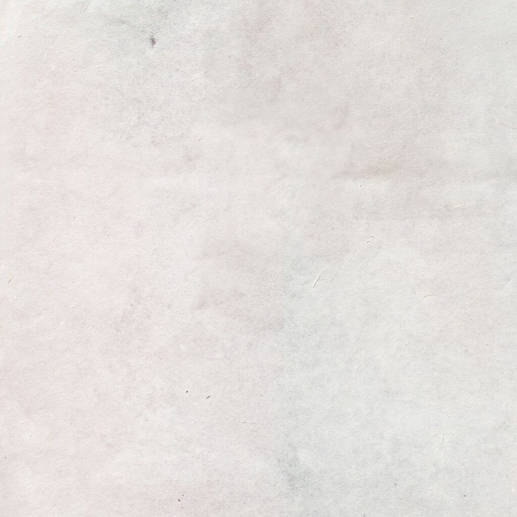 Lokta Craft / Papel de regalo (51x76cm) - 5gms papel liso