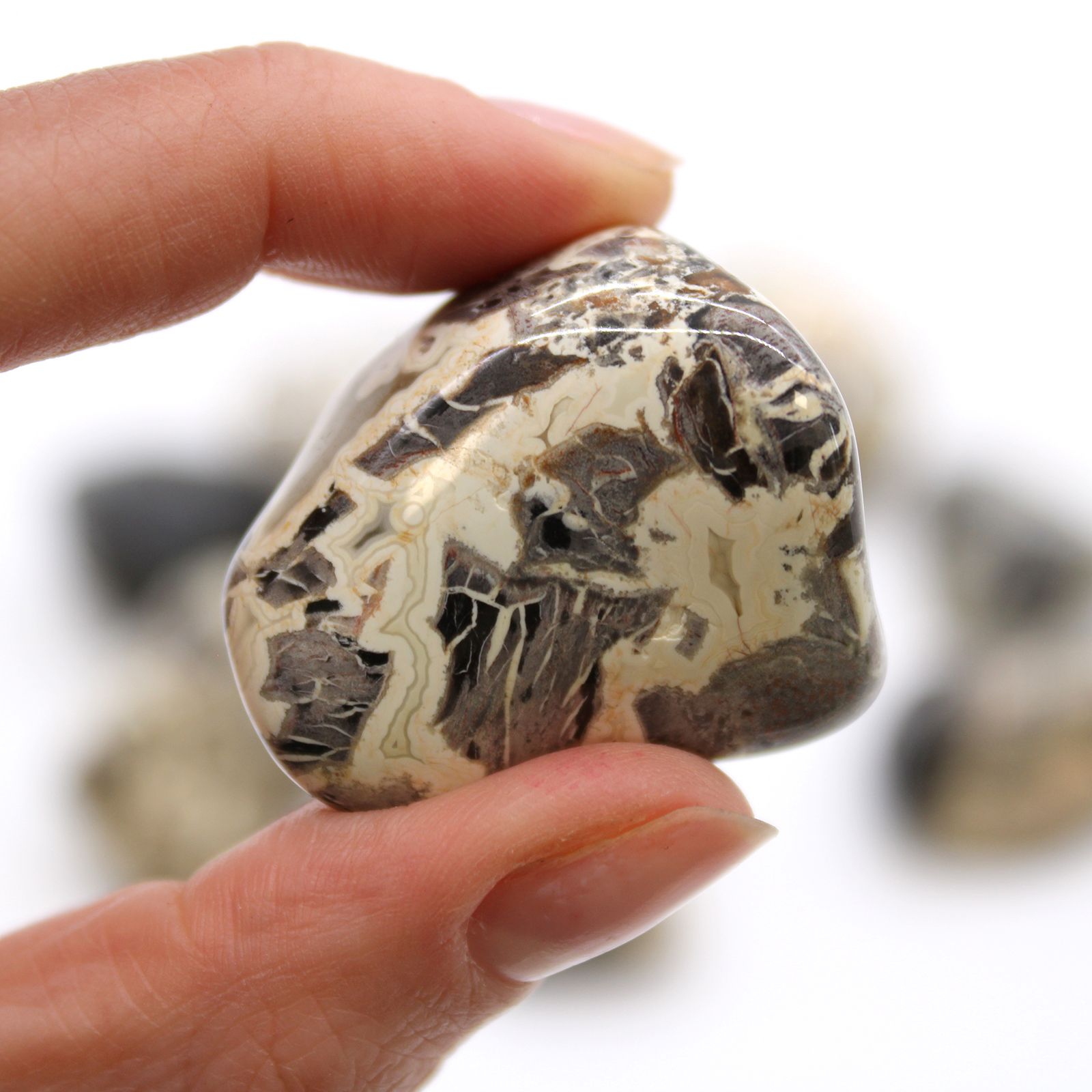 Piedras Naturales XL - Jaspe Plateado - Imagen 2