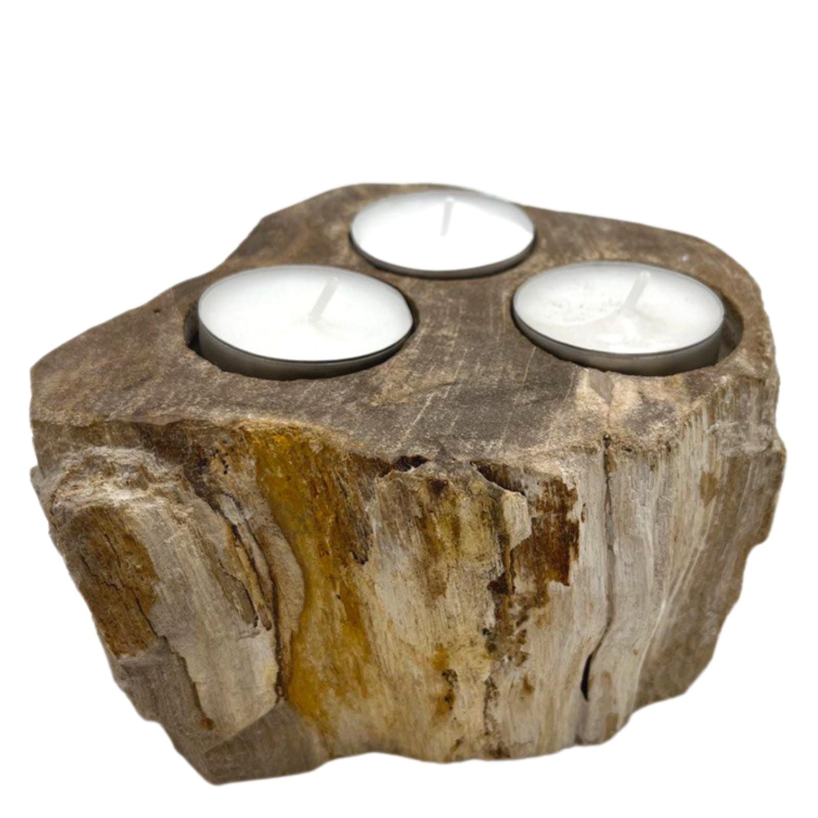 Portavelas de Madera Petrificada - Triple - Imagen 3