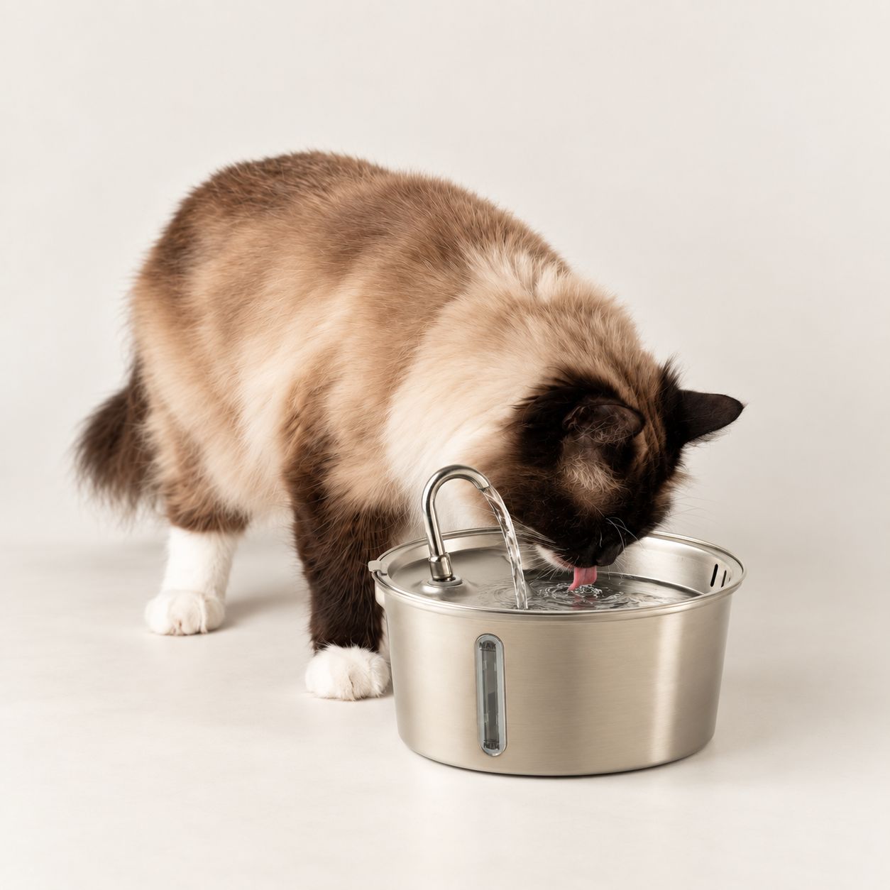 Tazones para comida PAW - Fuente de agua eléctrica de 2.5 litros - USB - acero inoxidable (304) - Imagen 12