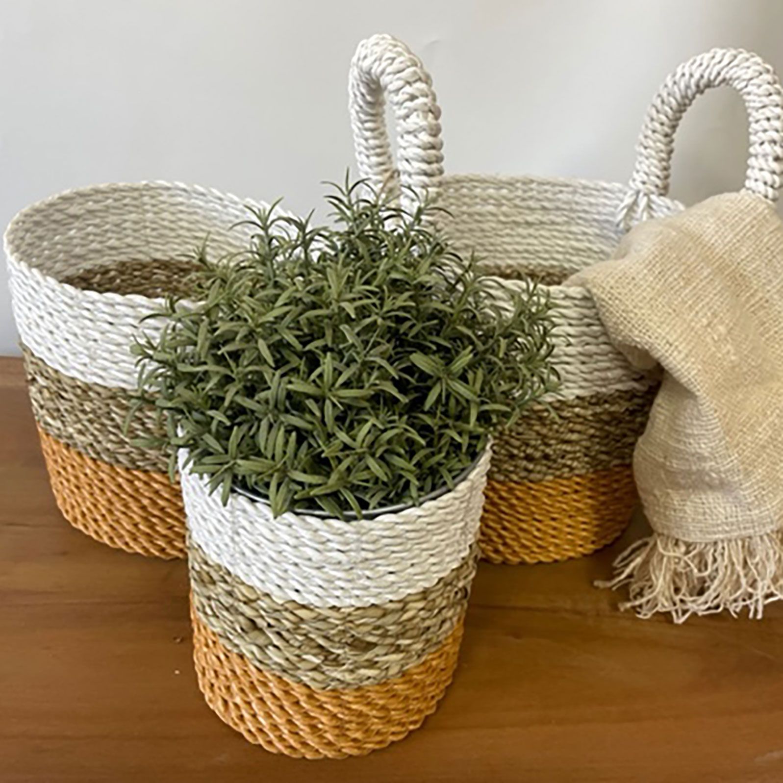 Juego de cestas de algas marinas - Naranja/Natural/Blanco - Imagen 2
