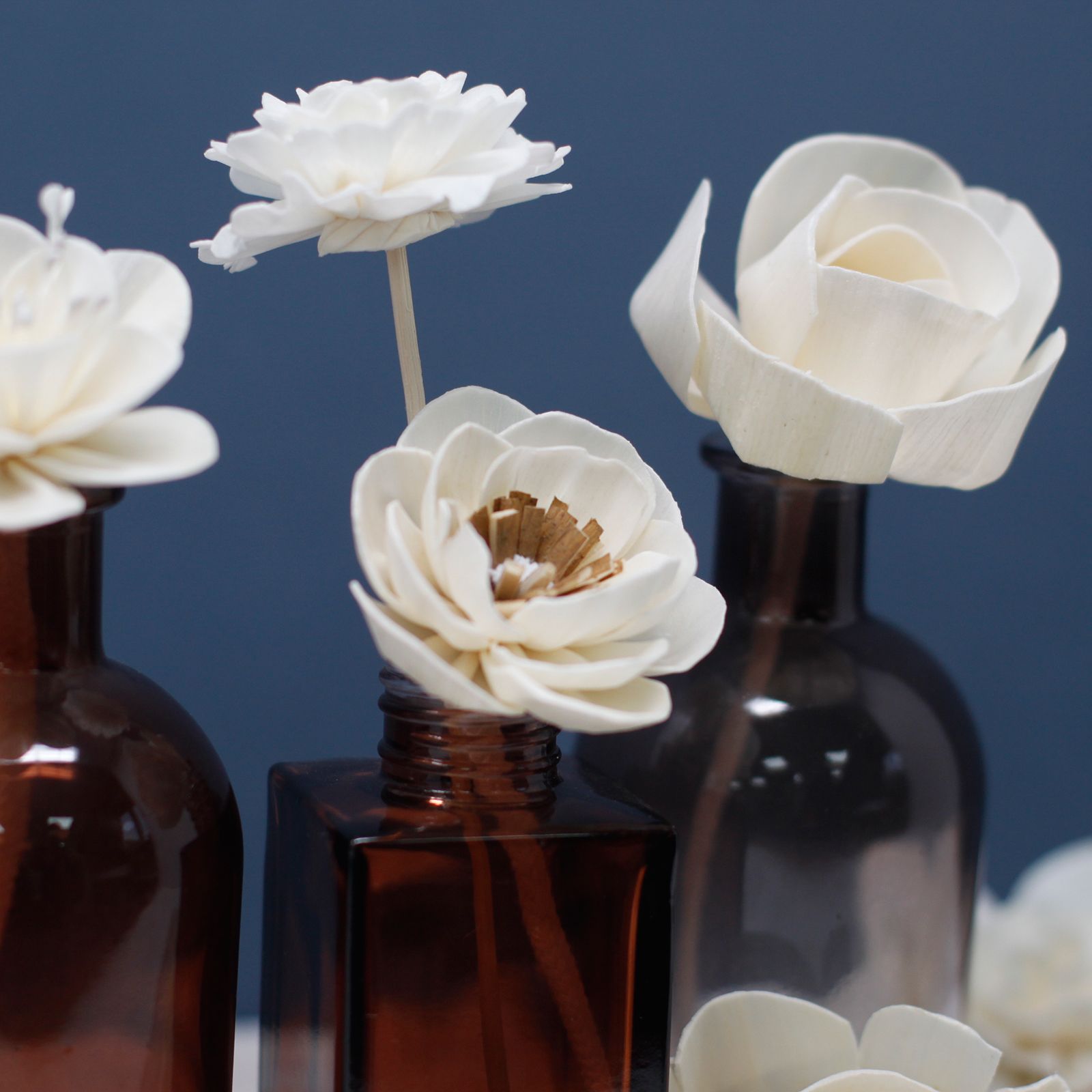 Flores Naturales para Difusor - Loto Grande en Cuerda - Imagen 7