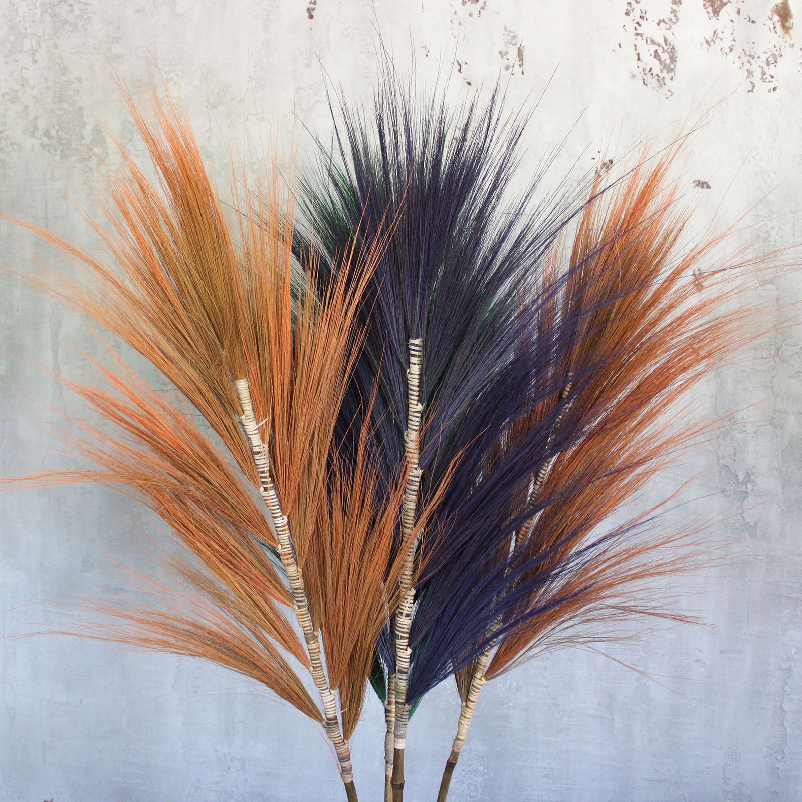 Palmera Lavanda de Rayung - 1.6m - Imagen 2