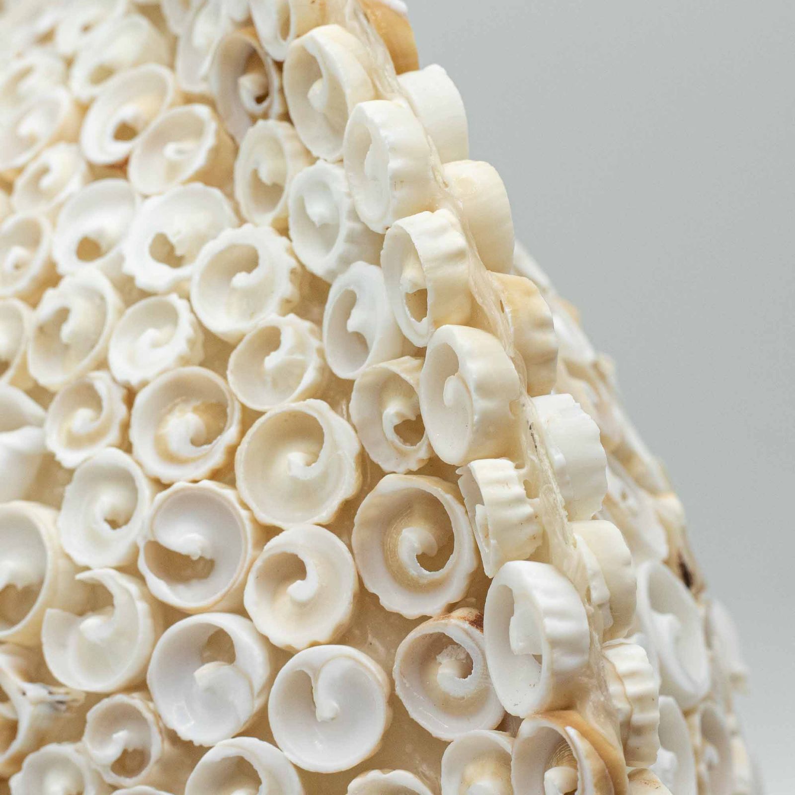 Lámpara Boho de Conchas Marinas - Concha Redonda Grande - 30 cm - Imagen 3