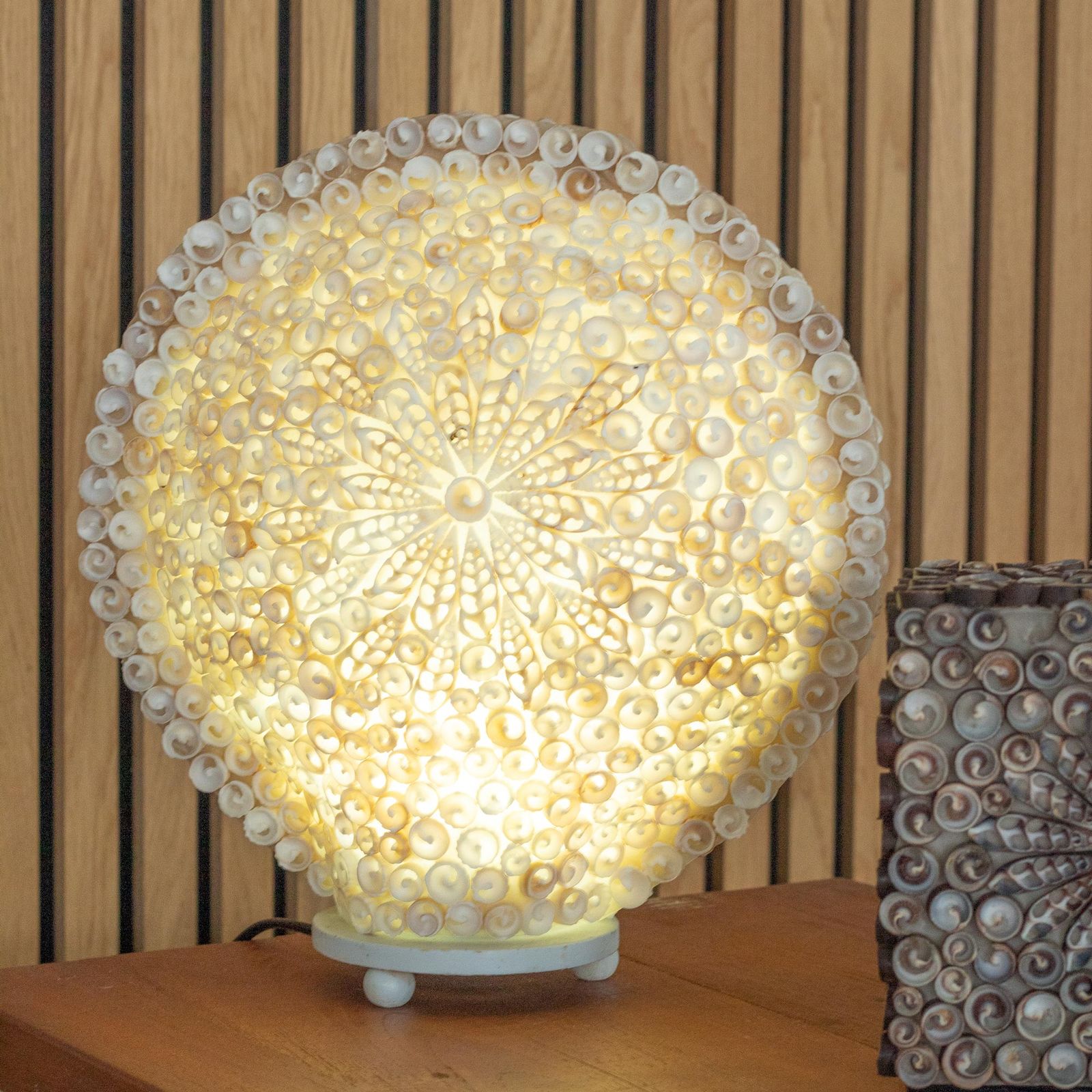 Lámpara Boho de Conchas Marinas - Concha Redonda Grande - 30 cm - Imagen 4