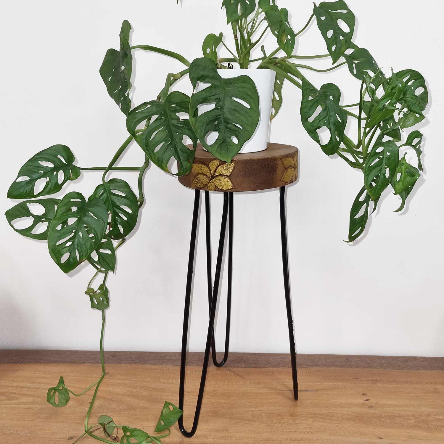 Soporte para plantas de madera de Albasia - Detalle natural y dorado - Imagen 2