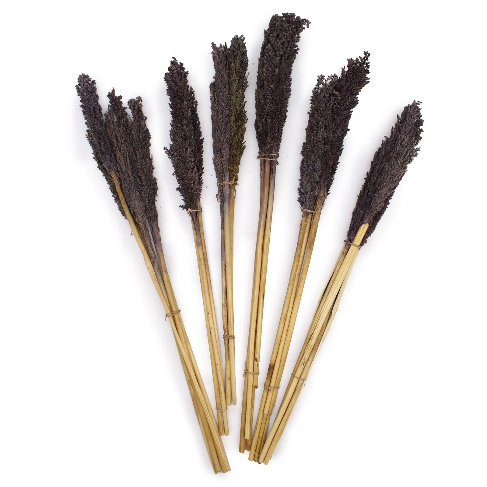 Manojo de Hierba Cantal - Negro - Imagen 4