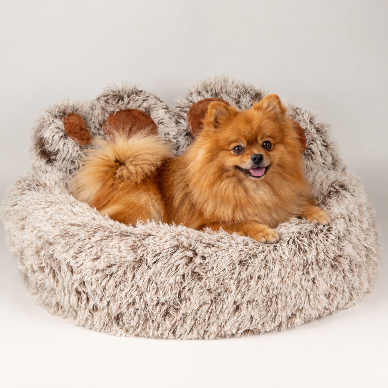 PAW Bed – Patita Mediana Grande – 60 cm