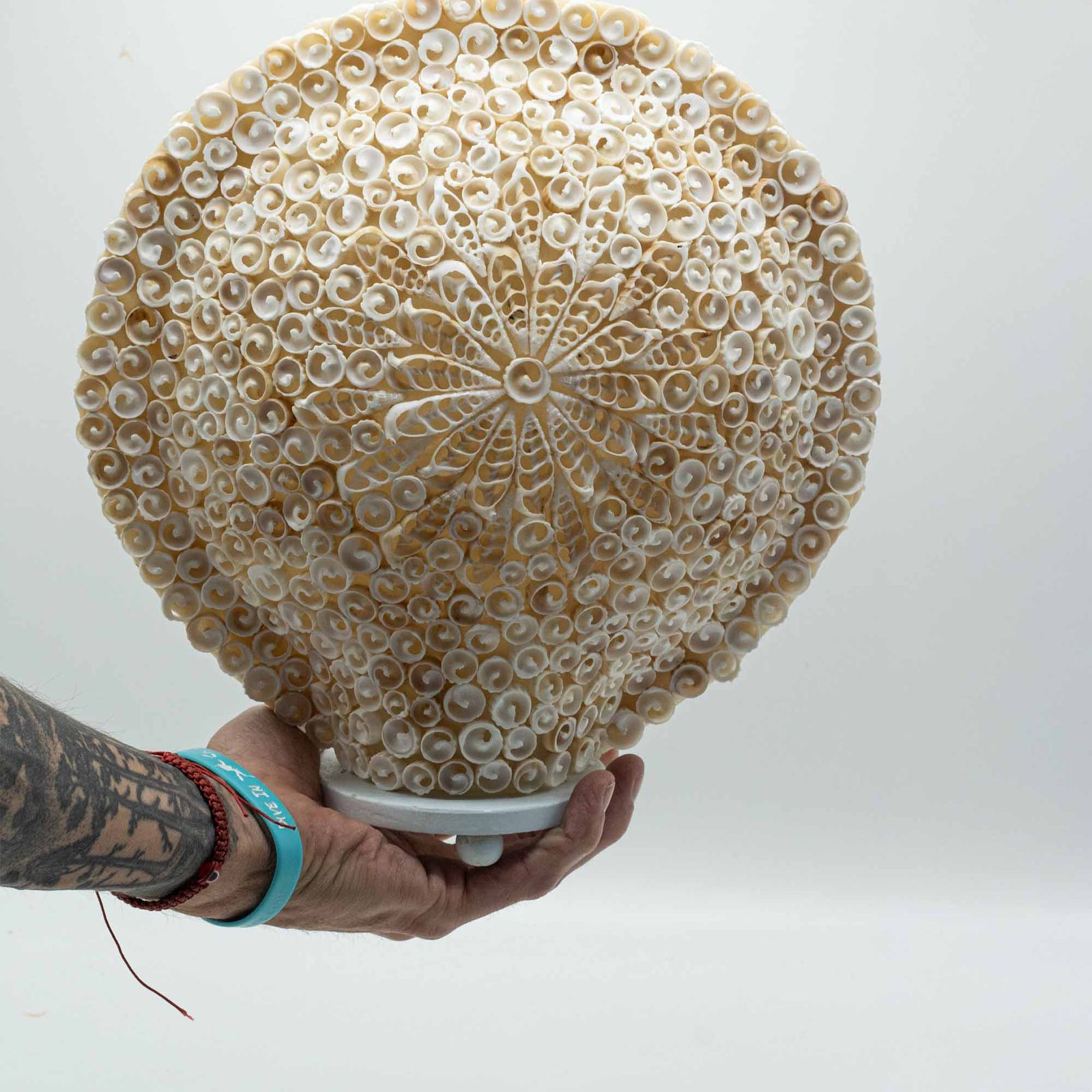 Lámpara Boho de Conchas Marinas - Concha Redonda Grande - 30 cm - Imagen 5