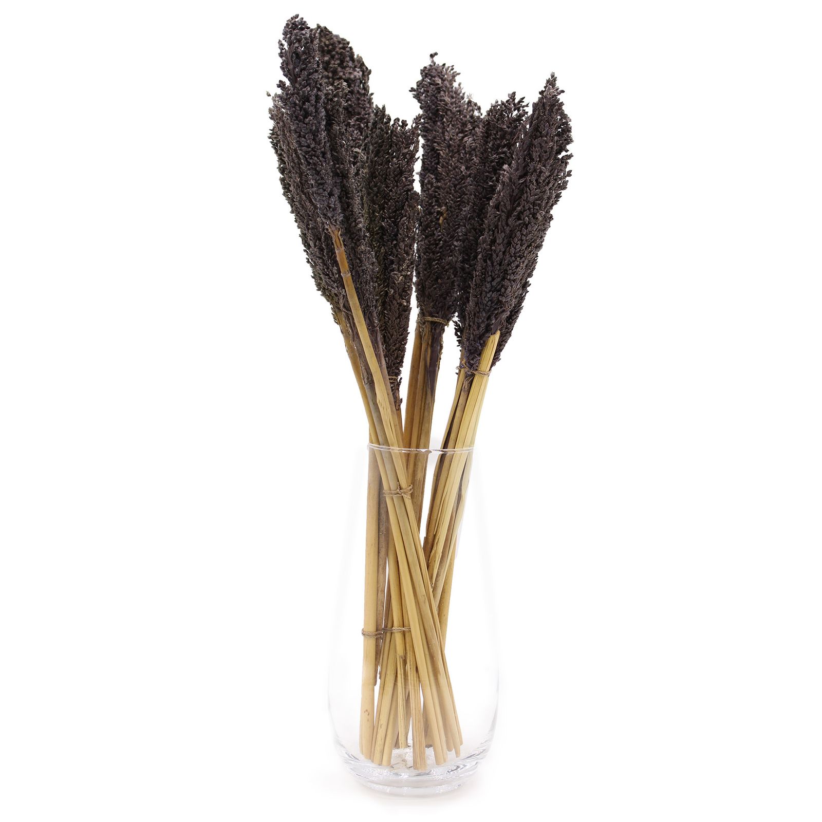 Manojo de Hierba Cantal - Negro - Imagen 3