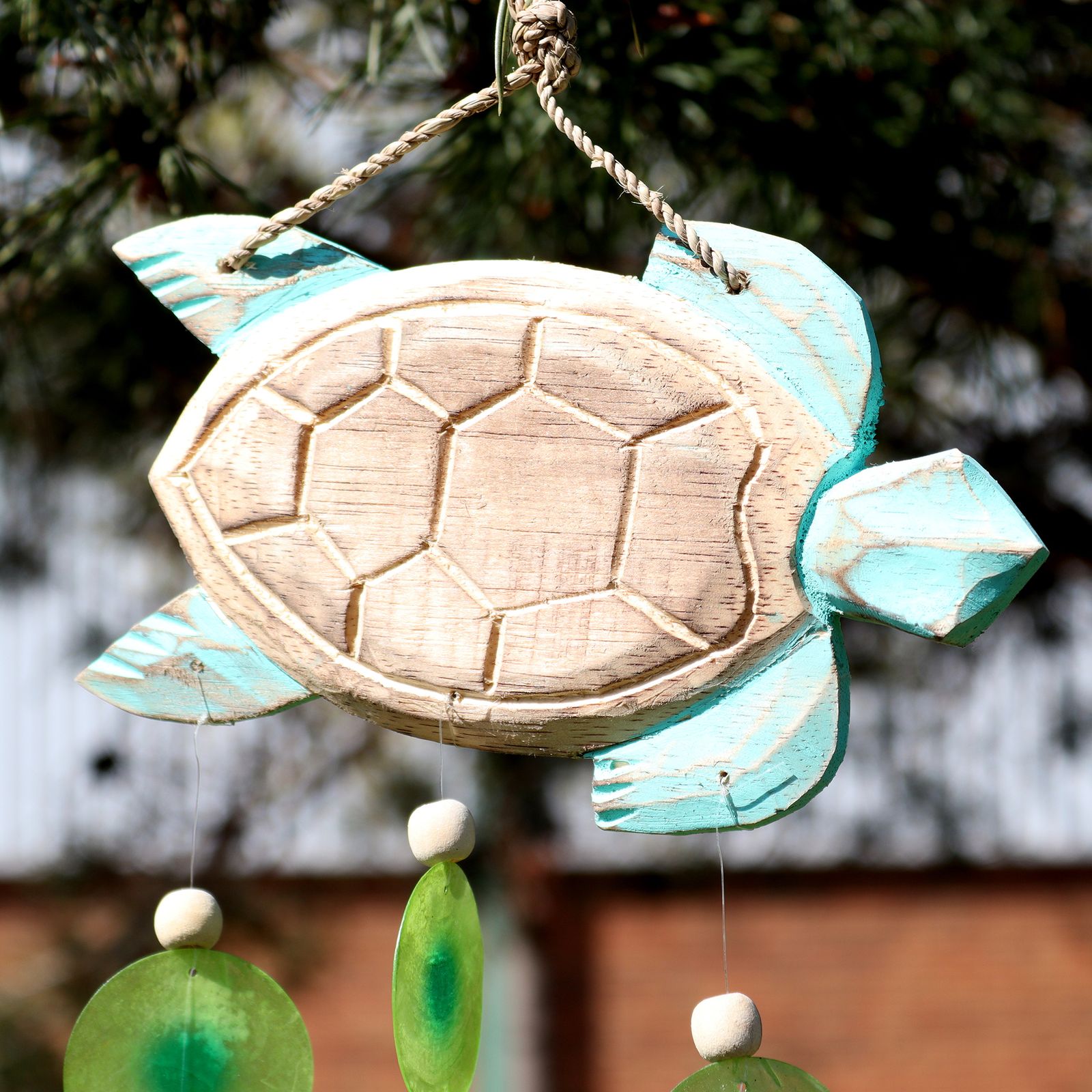Talla de Tortuga en Aqua y Gota - Imagen 3