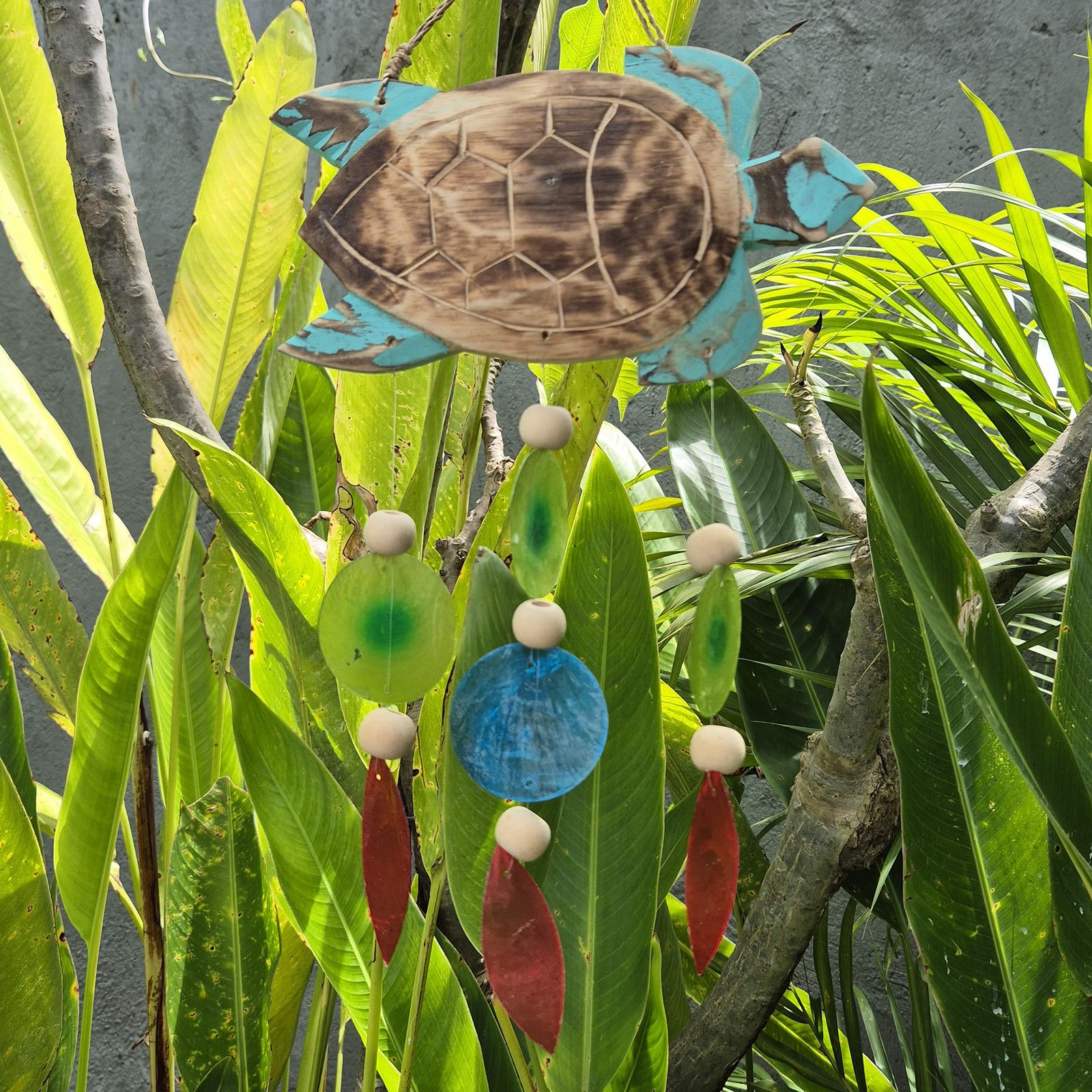 Talla de Tortuga en Aqua y Gota - Imagen 5