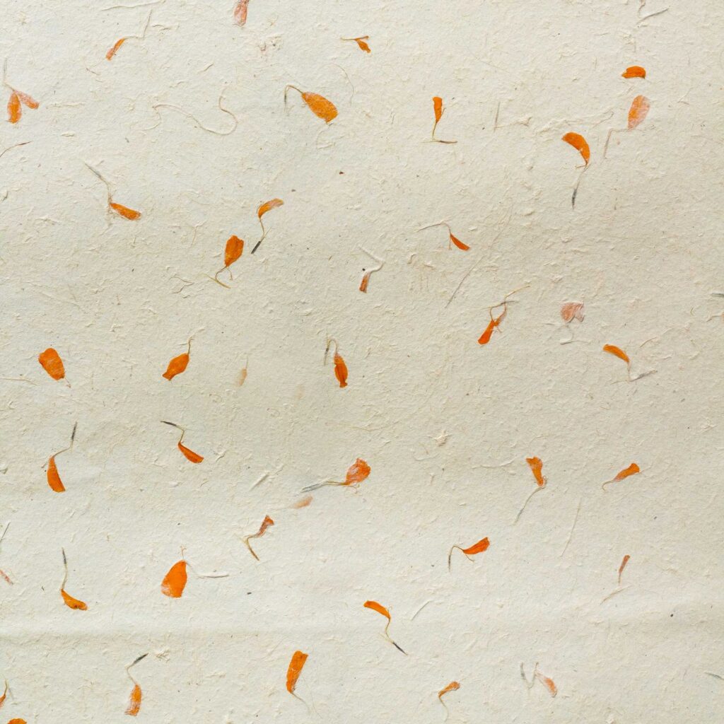 Lokta Craft / Papel de regalo (51x76cm) - Marigold