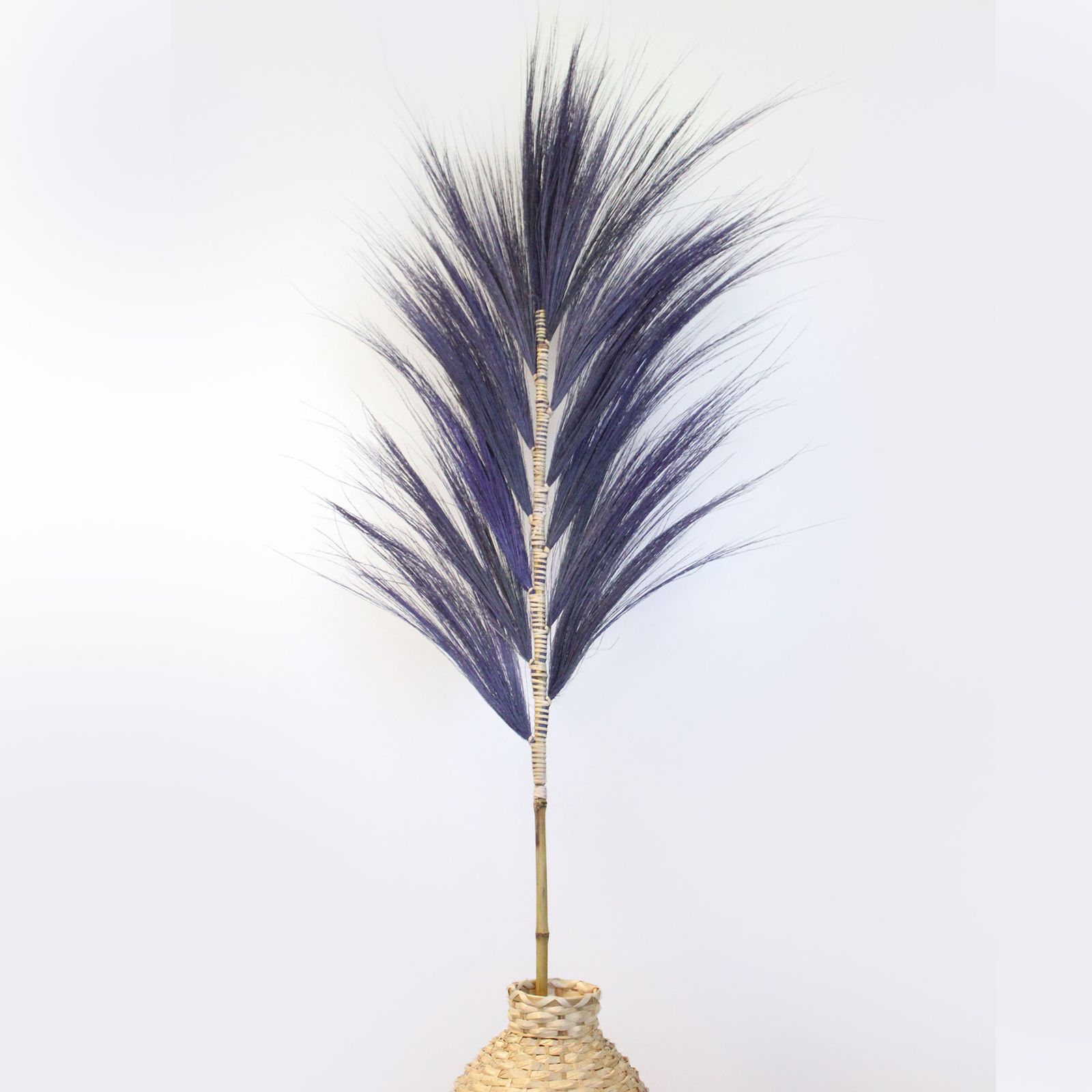 Palmera Lavanda de Rayung - 1.6m - Imagen 5
